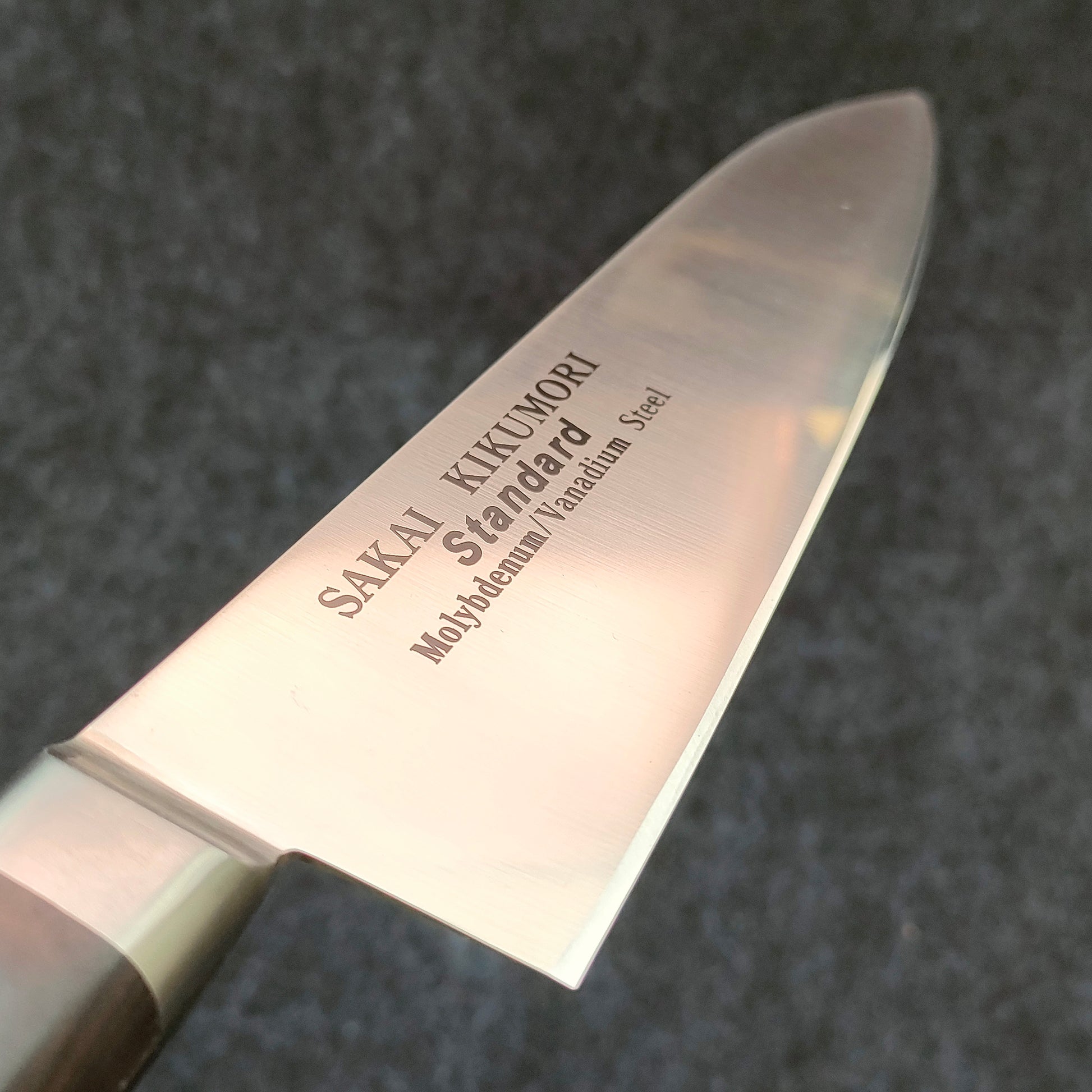 Sakai Kikumori | Standard | Gyuto 180mm | AUS8 | Pakka