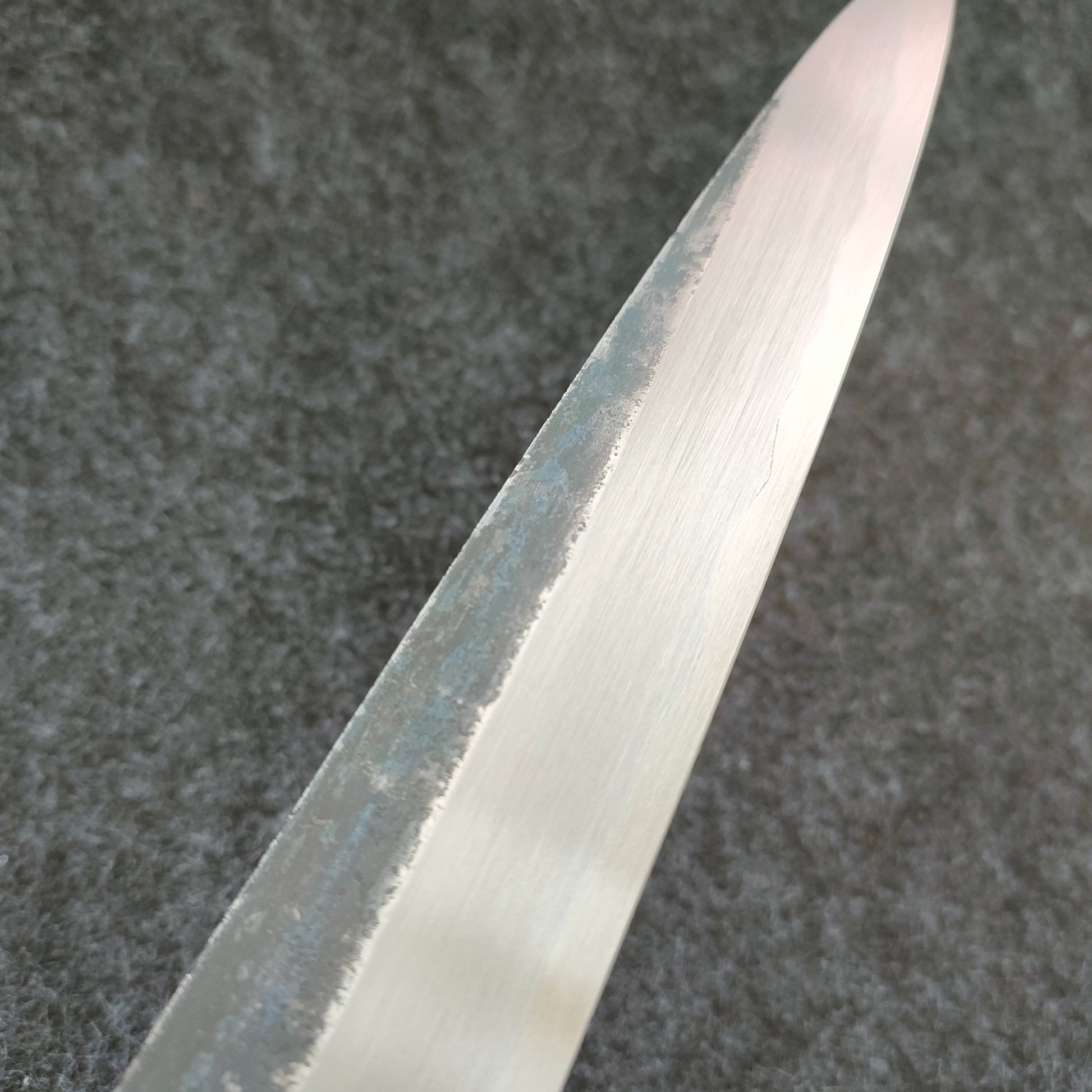 Sakai Kikumori | Kikuzuki Kuro | Yanagiba 300mm | Horn Magnolia