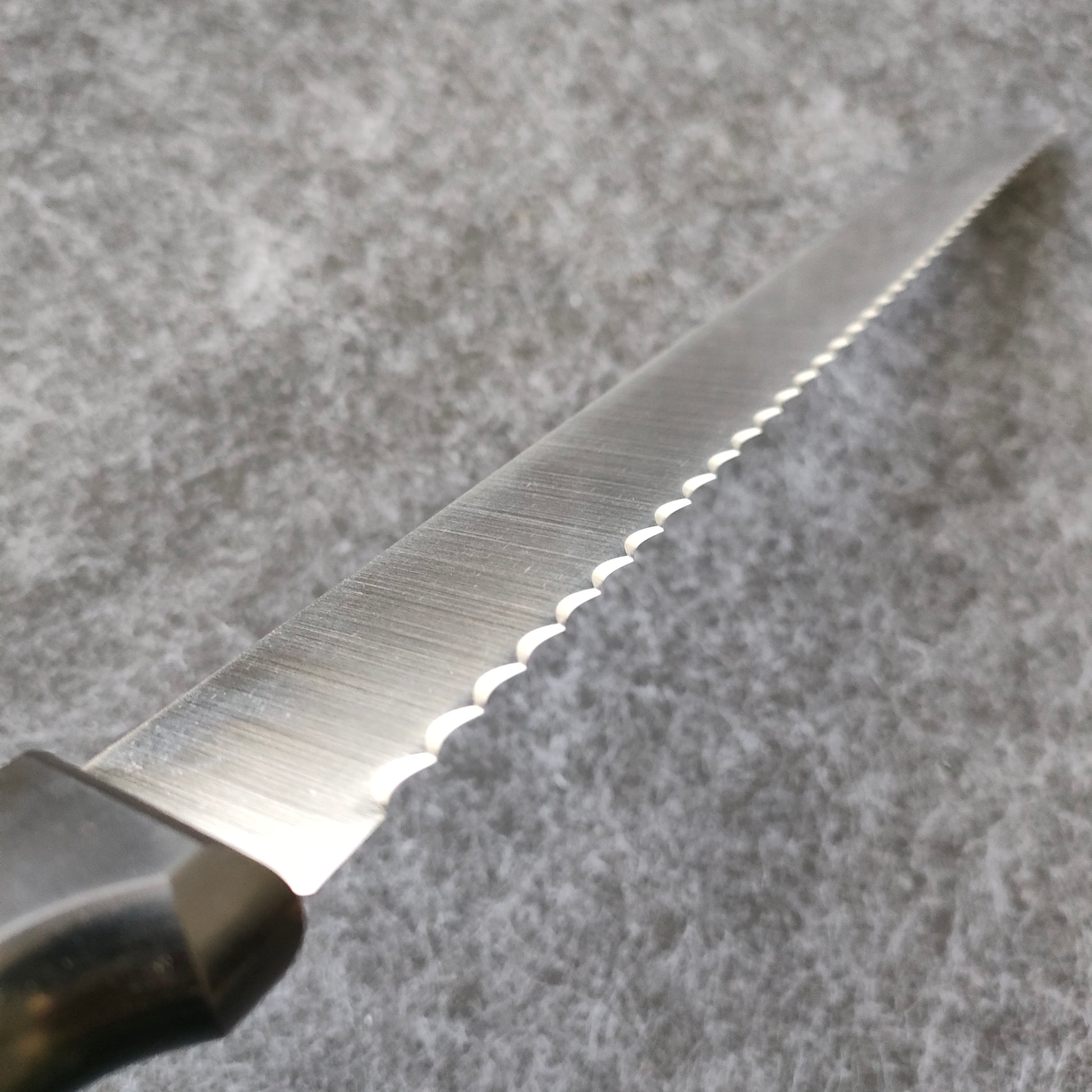 Bread Knife 300mm | MV