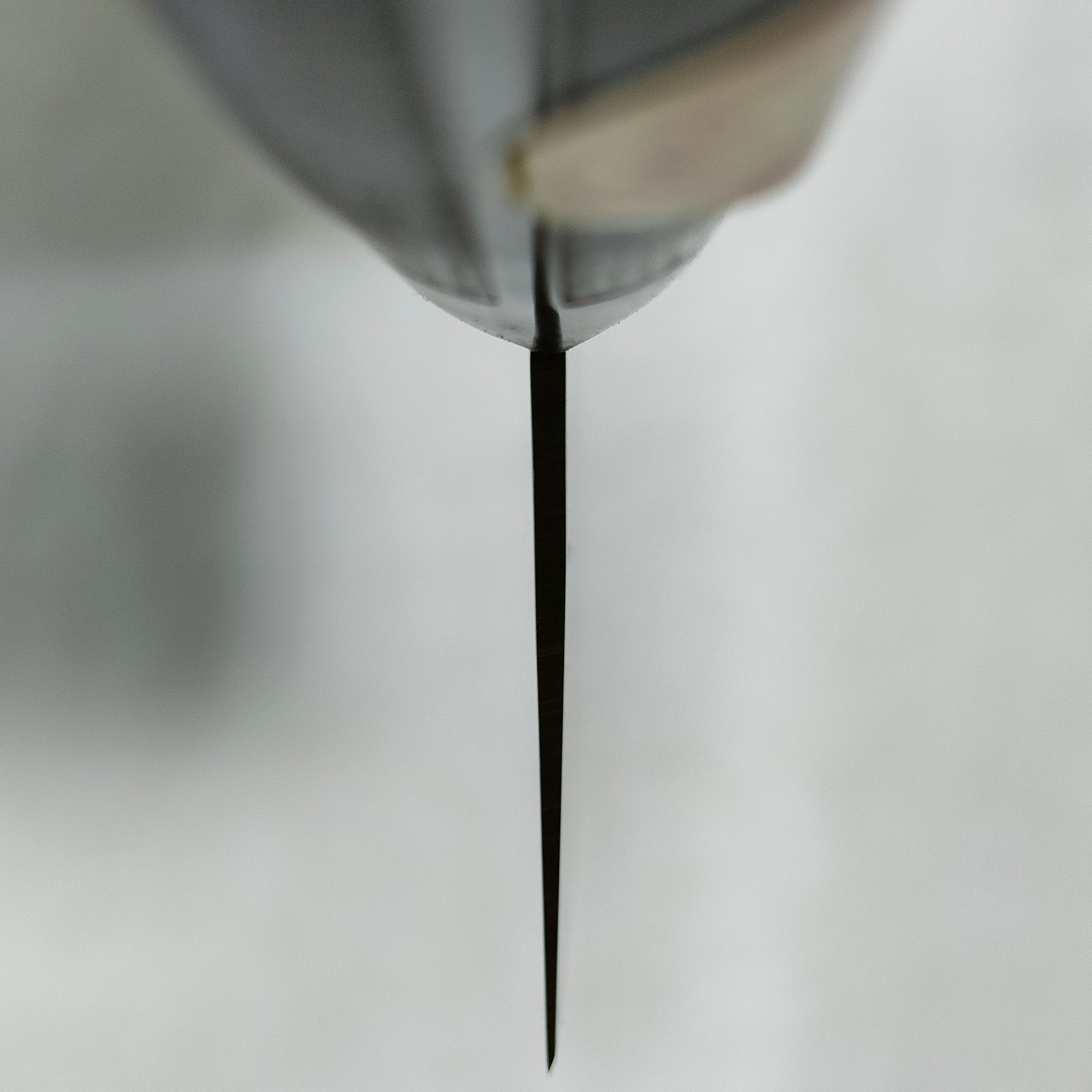 Sakai Kikumori | Nihonko |  Gyuto 210mm | Pakka