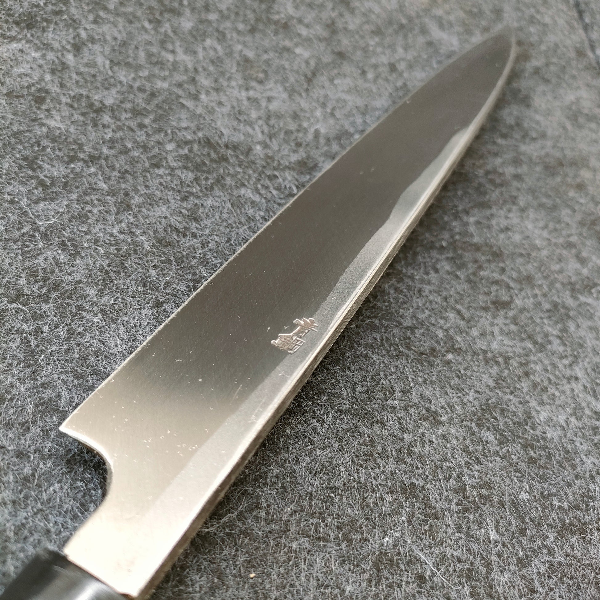 Shimatani | Aogami 2 | Yanagiba 240mm | Magnolia