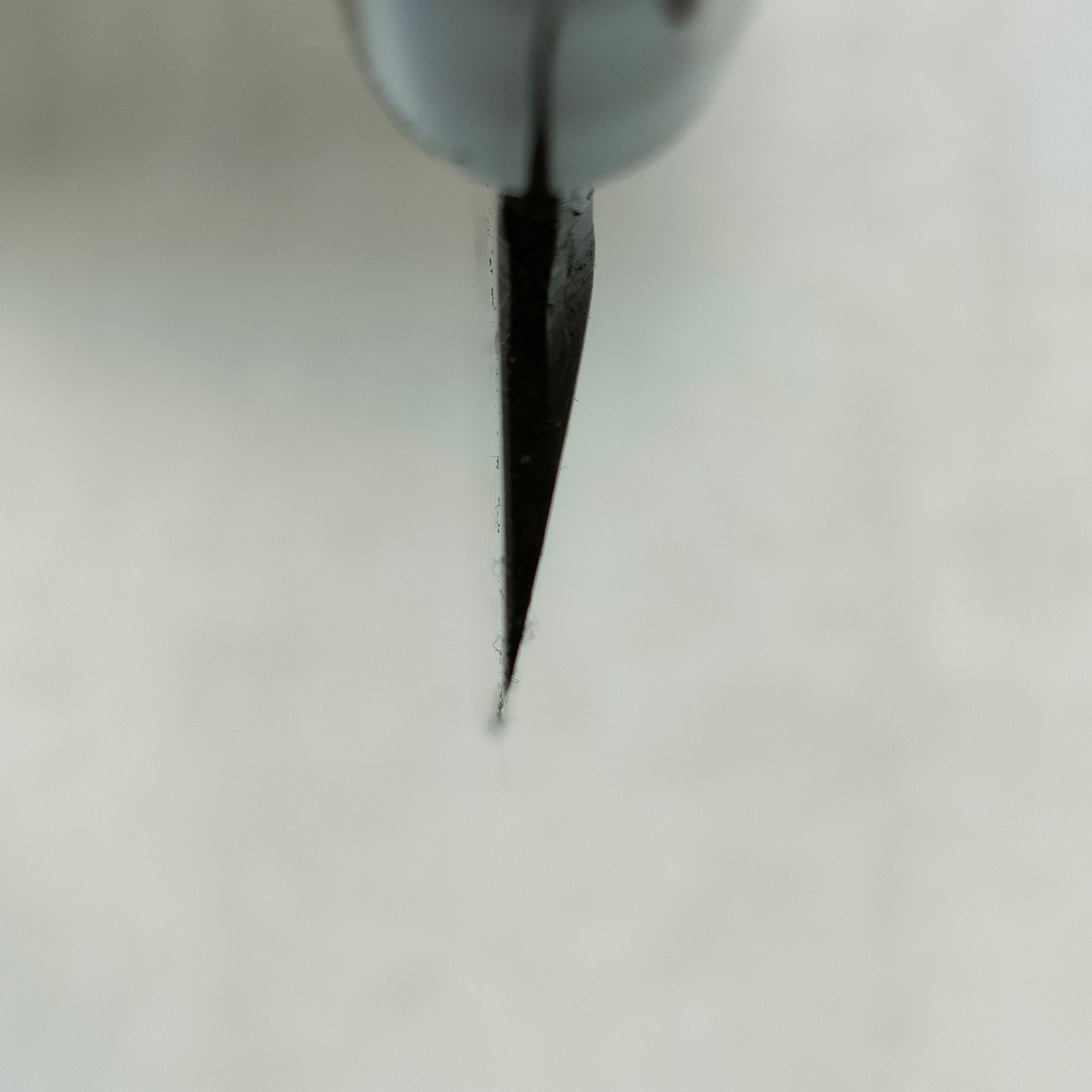 Shimatani | Aogami 2 | Yanagiba 240mm | Magnolia