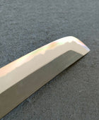 Tsunehisa | Aogami 2 Kurouchi | Sakimaru 270mm | Rosewood