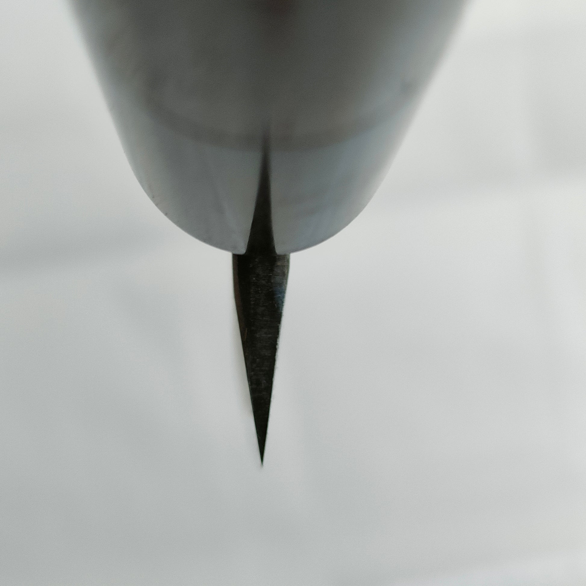 Tsunehisa | Aogami 2 Kurouchi | Sakimaru 270mm | Rosewood