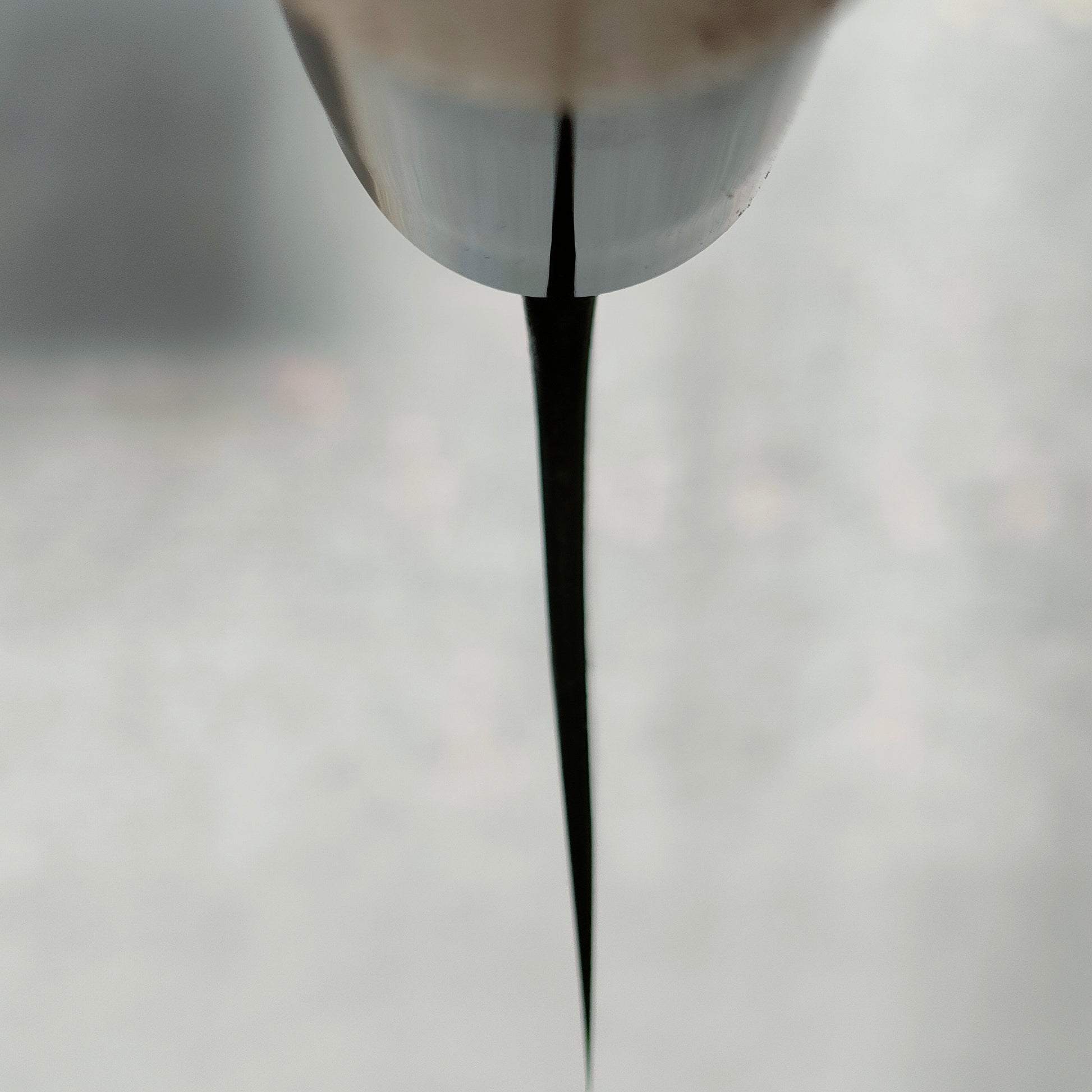 Kyohei Shindo | Gyuto 210mm |  Aogami 2 | Cherry