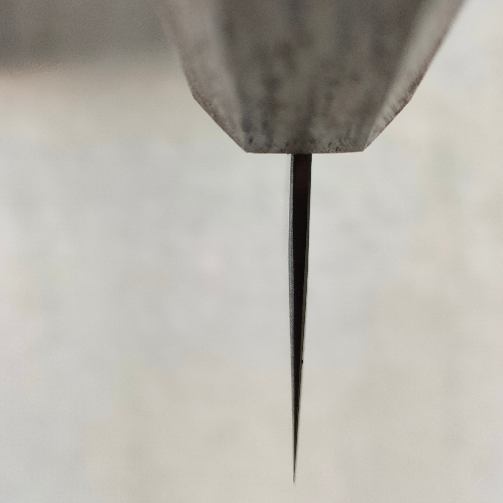 Tsunehisa | SLD Washiji | Gyuto 210mm | Oak Yaki