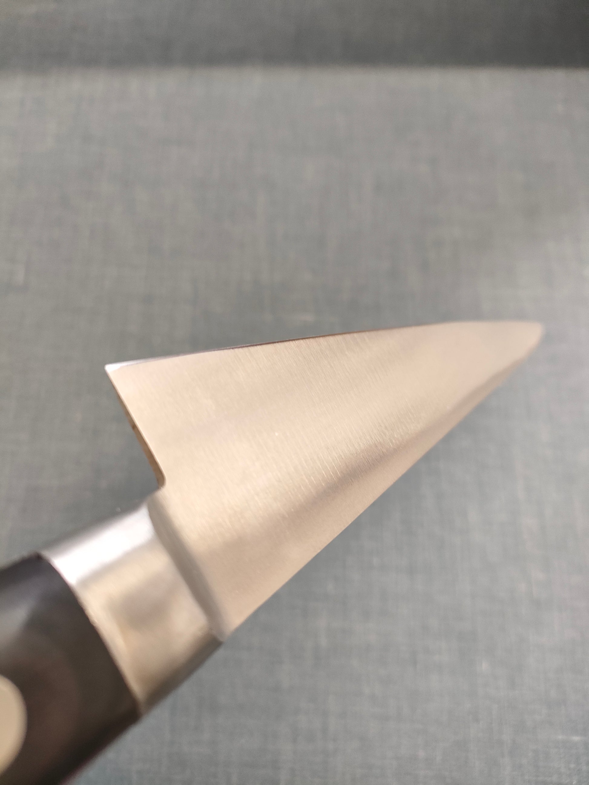 Minamoto no Sukehisa | Honsuki Kaku 135mm | SK | Pakka