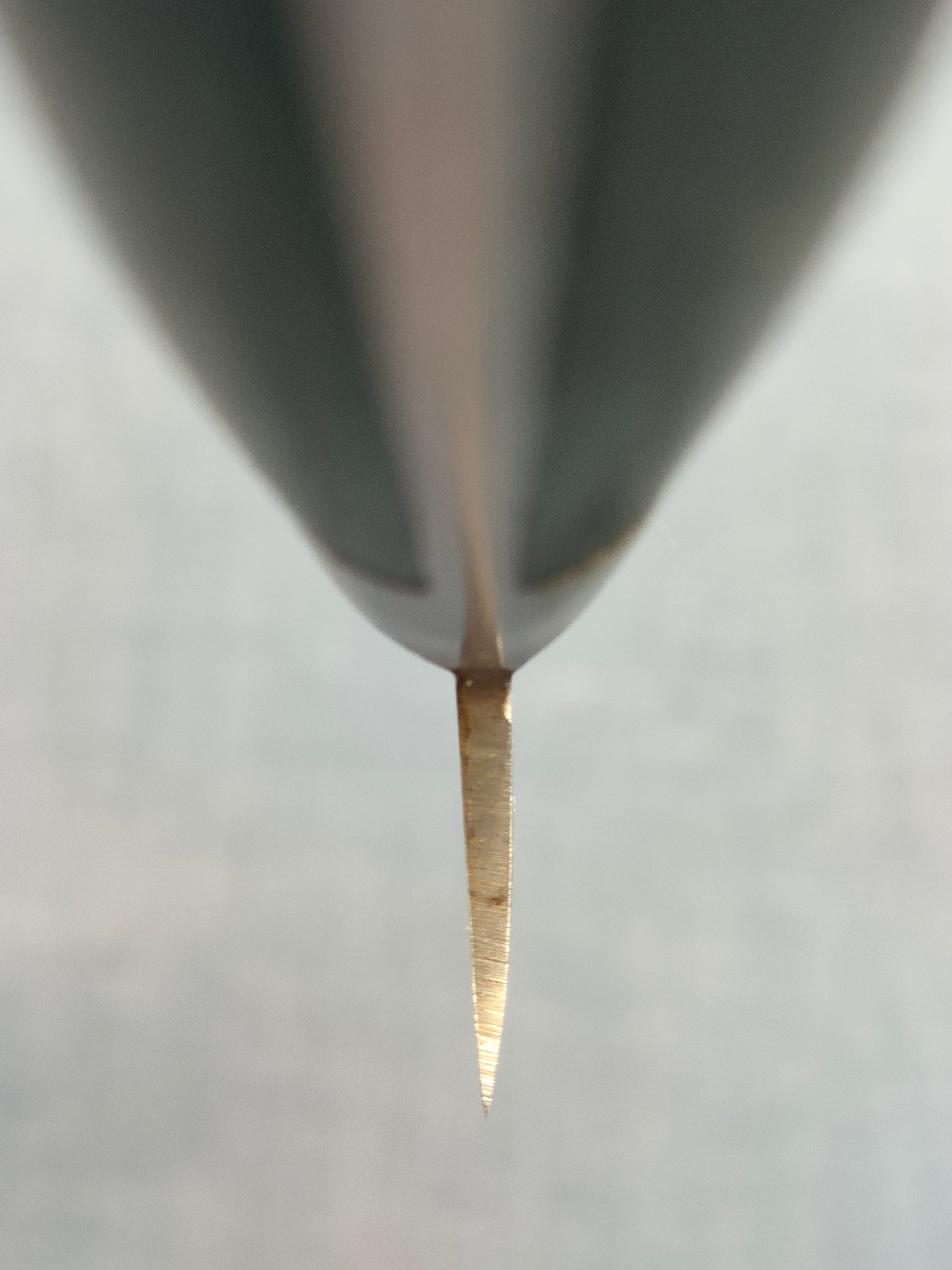 Minamoto no Sukehisa | Honsuki Kaku 135mm | SK | Pakka