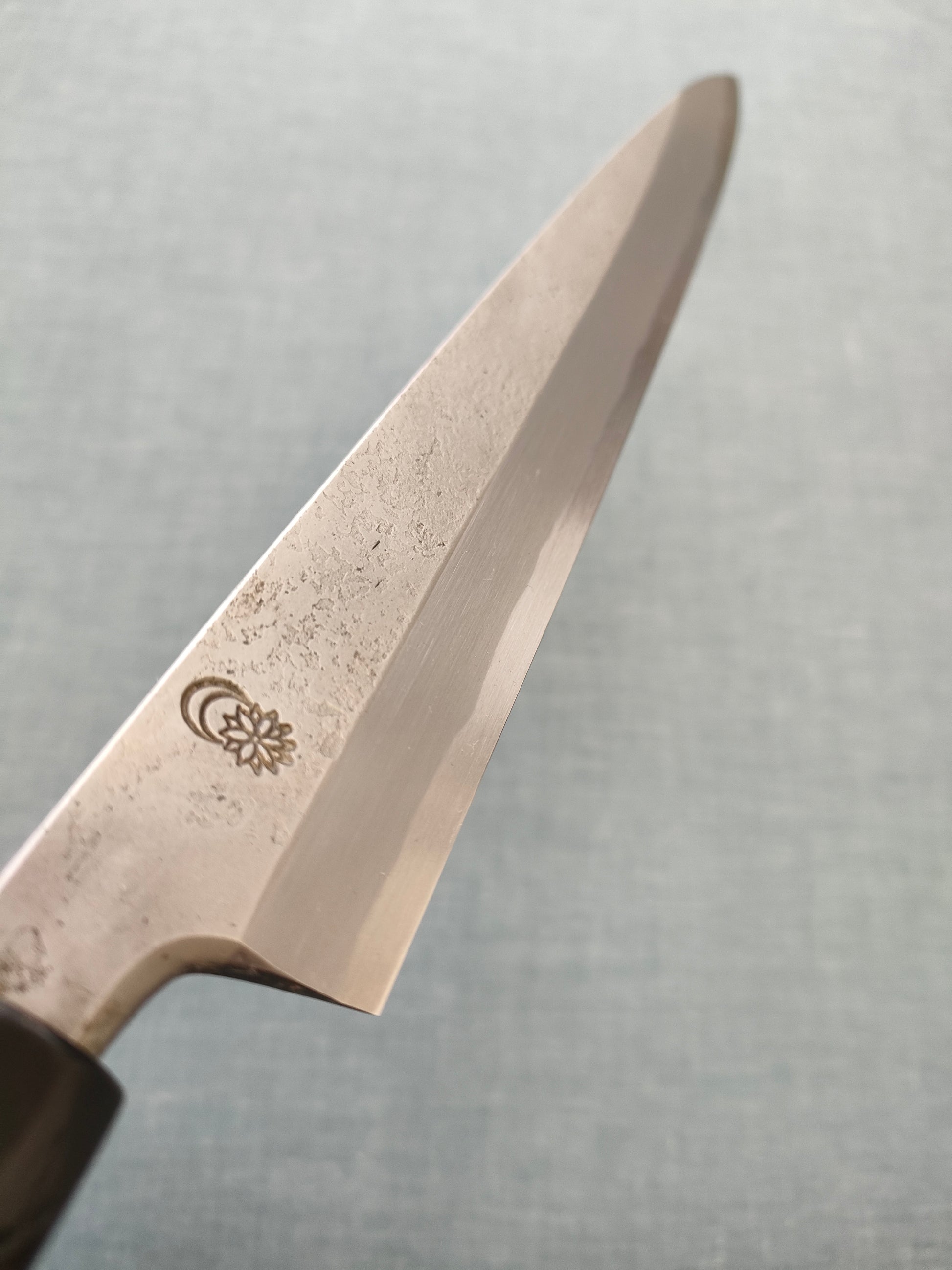 Sakai Kikumori | Kikuzuki Rin | Yanagiba 240mm | Horn Magnolia