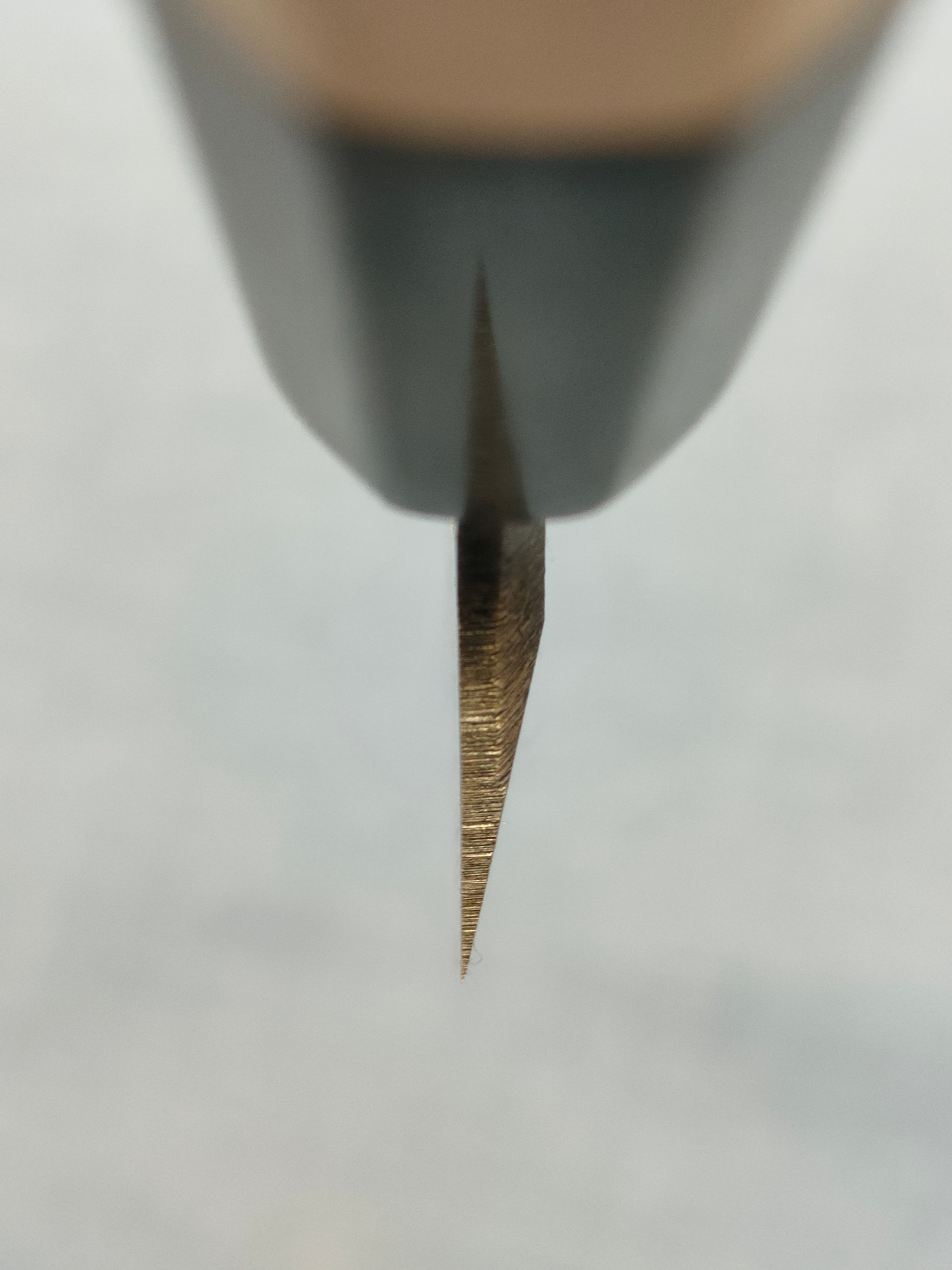 Sakai Kikumori | Kikuzuki Kuro | Yanagiba 240mm | Horn Magnolia