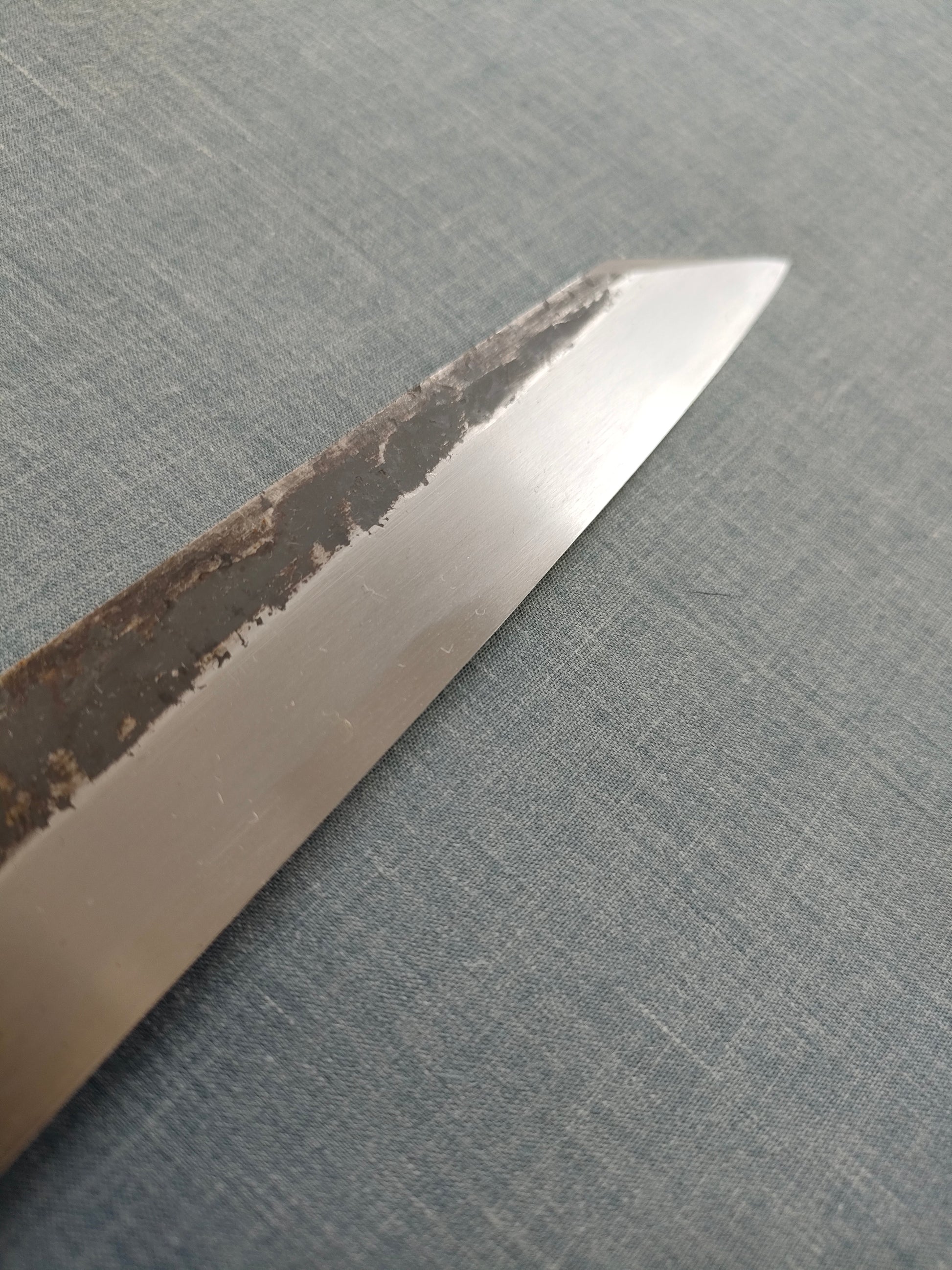 Sakai Kikumori | Kikuzuki Kuro | Kiritsuke Yanagiba 270mm | Horn Magnolia