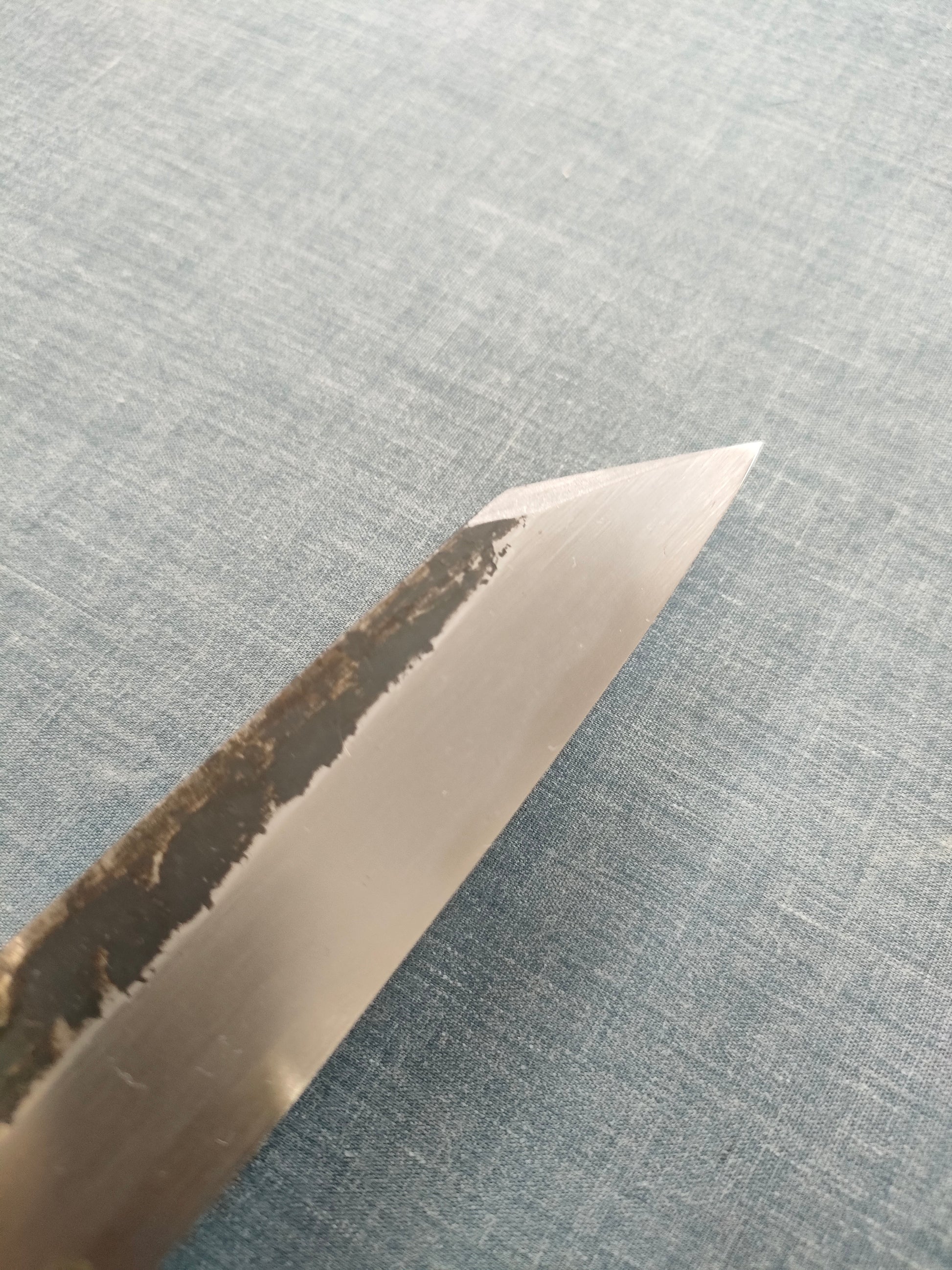 Sakai Kikumori | Kikuzuki Kuro | Kiritsuke Yanagiba 270mm | Horn Magnolia