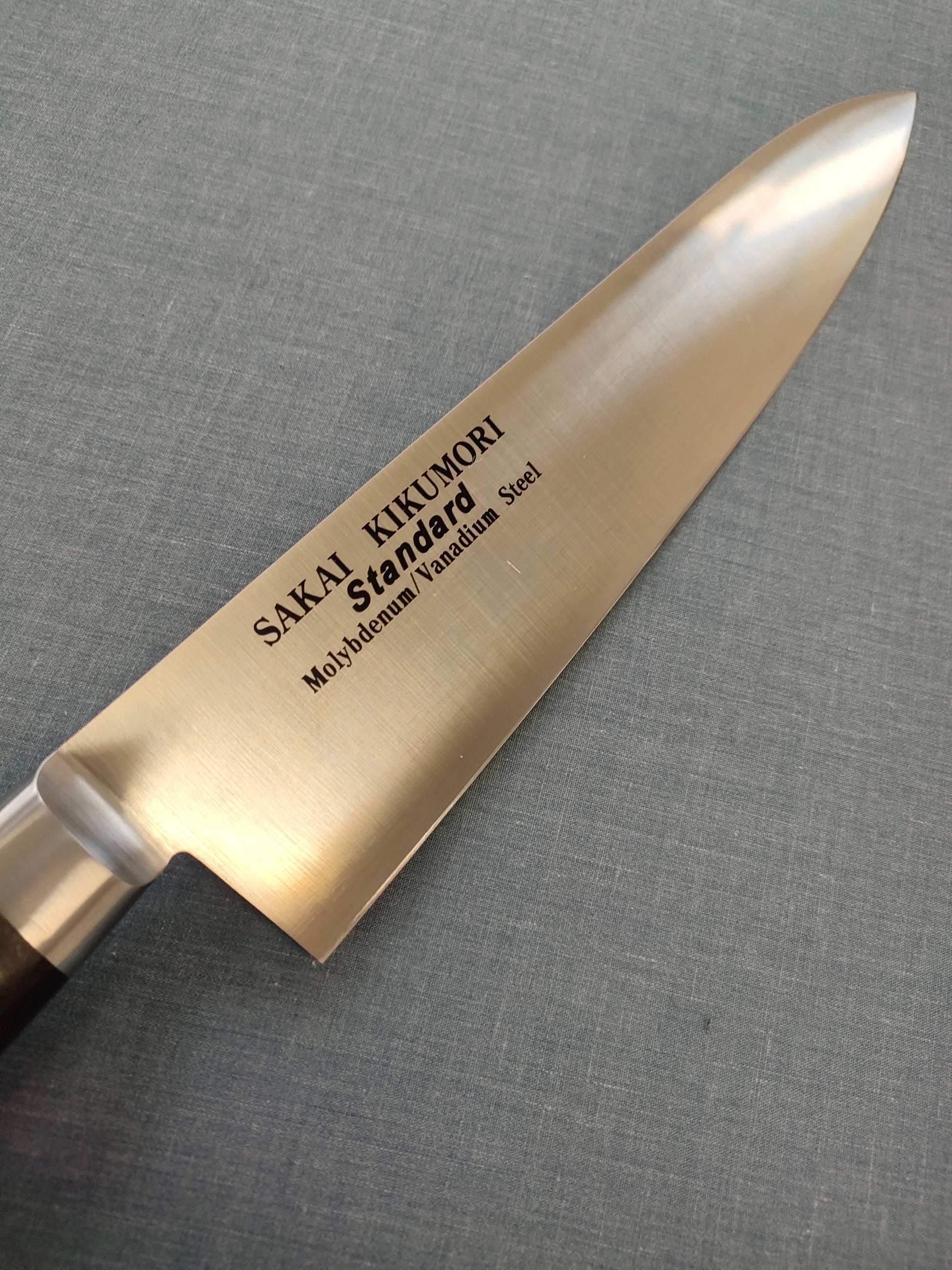 Sakai Kikumori | Standard |  Gyuto 240mm | AUS8 | Pakka