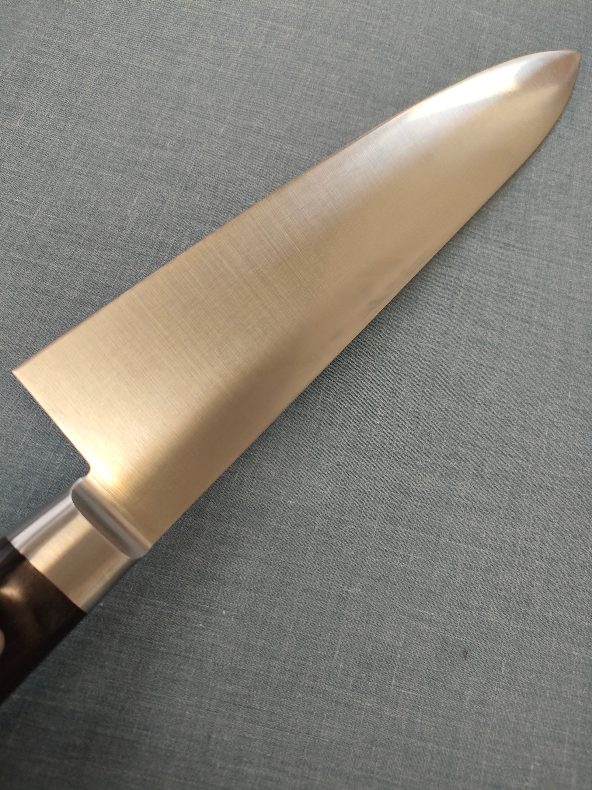 Sakai Kikumori | Standard |  Gyuto 240mm | AUS8 | Pakka