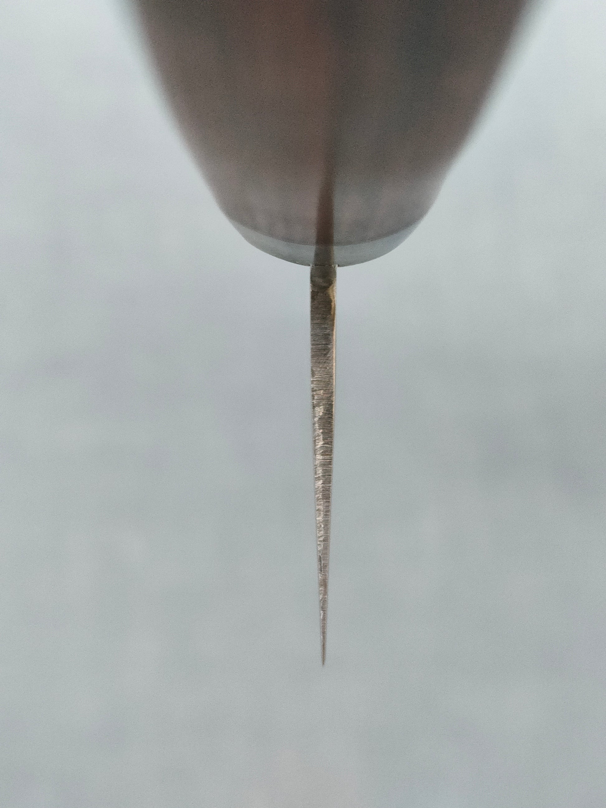 Tsunehisa | VG1 | Santoku 170mm | Brown Pakka