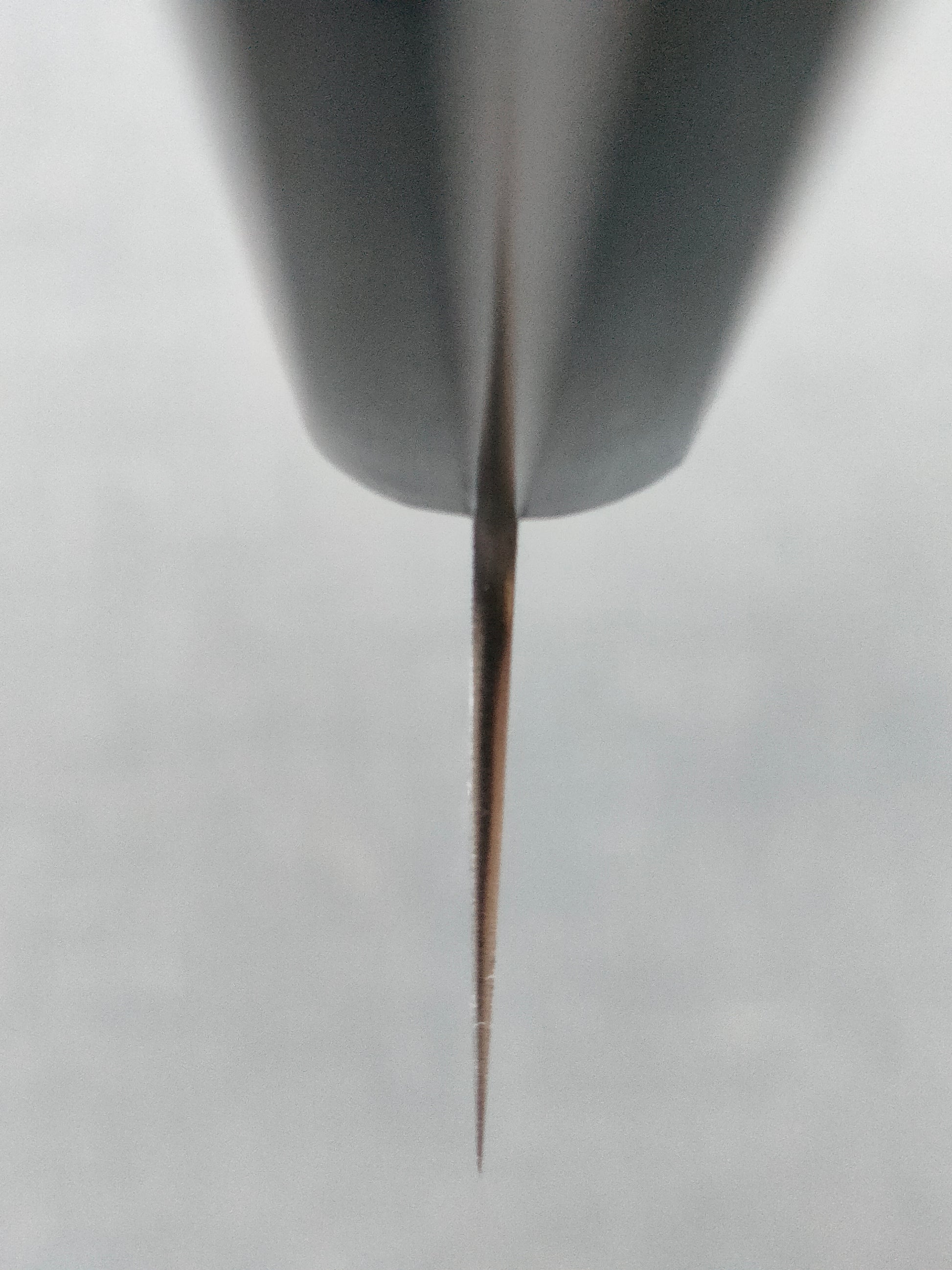 Tsunehisa | SLD | Gyuto 210mm | Red Pakka