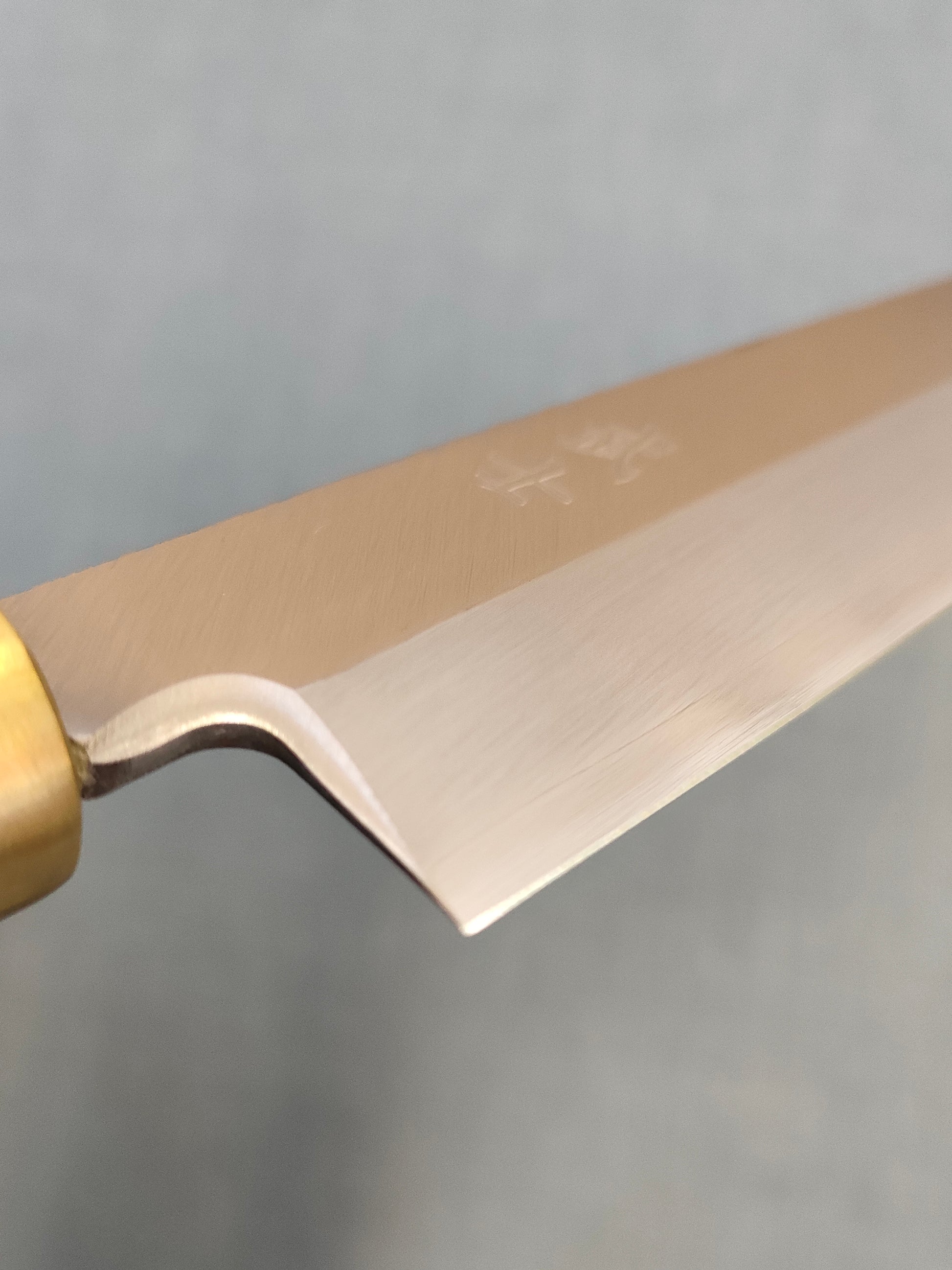 Saji Knives | Yanagiba 240mm | Ginsan 3 | Deer Horn