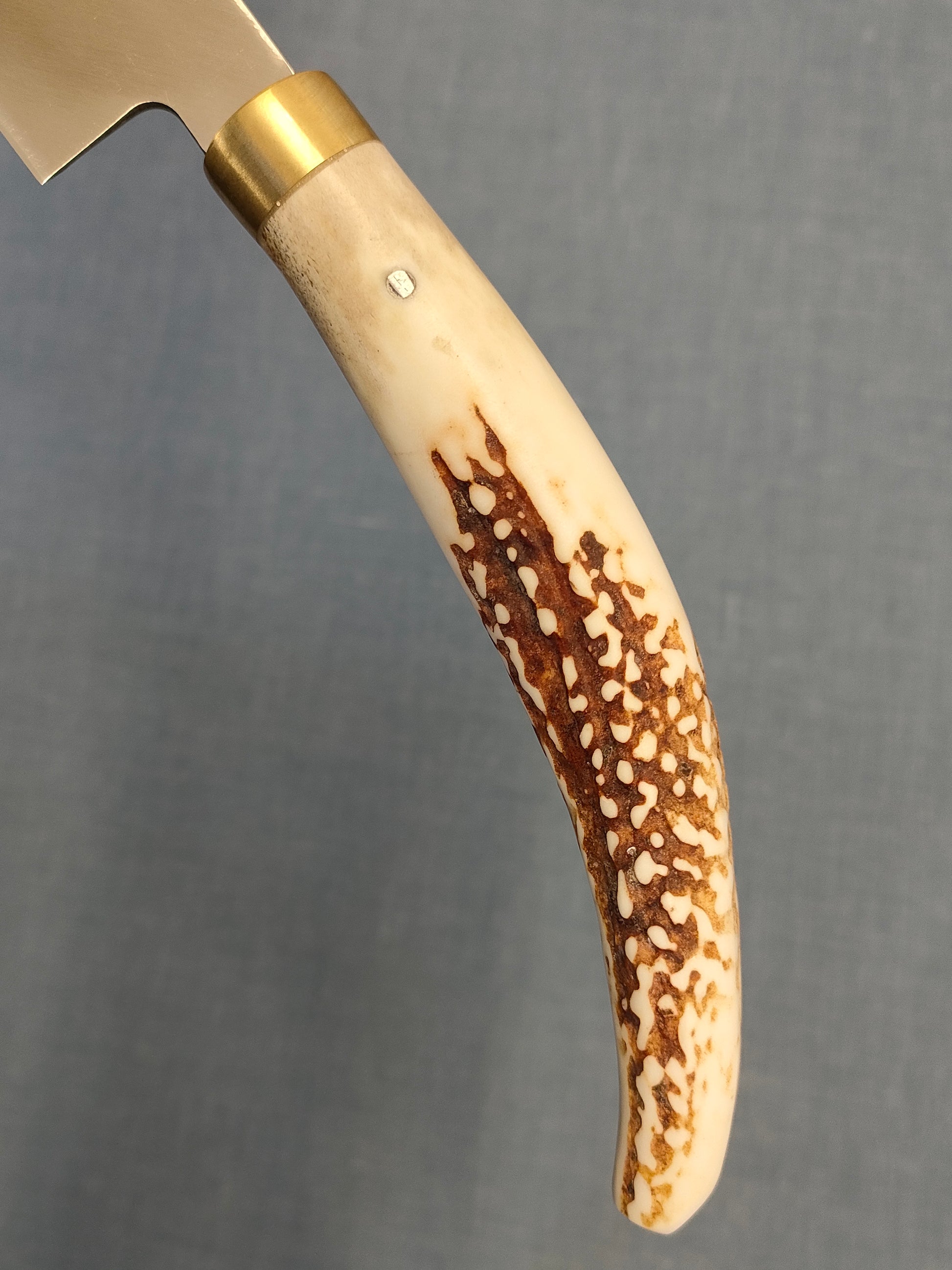 Saji Knives | Yanagiba 240mm | Ginsan 3 | Deer Horn