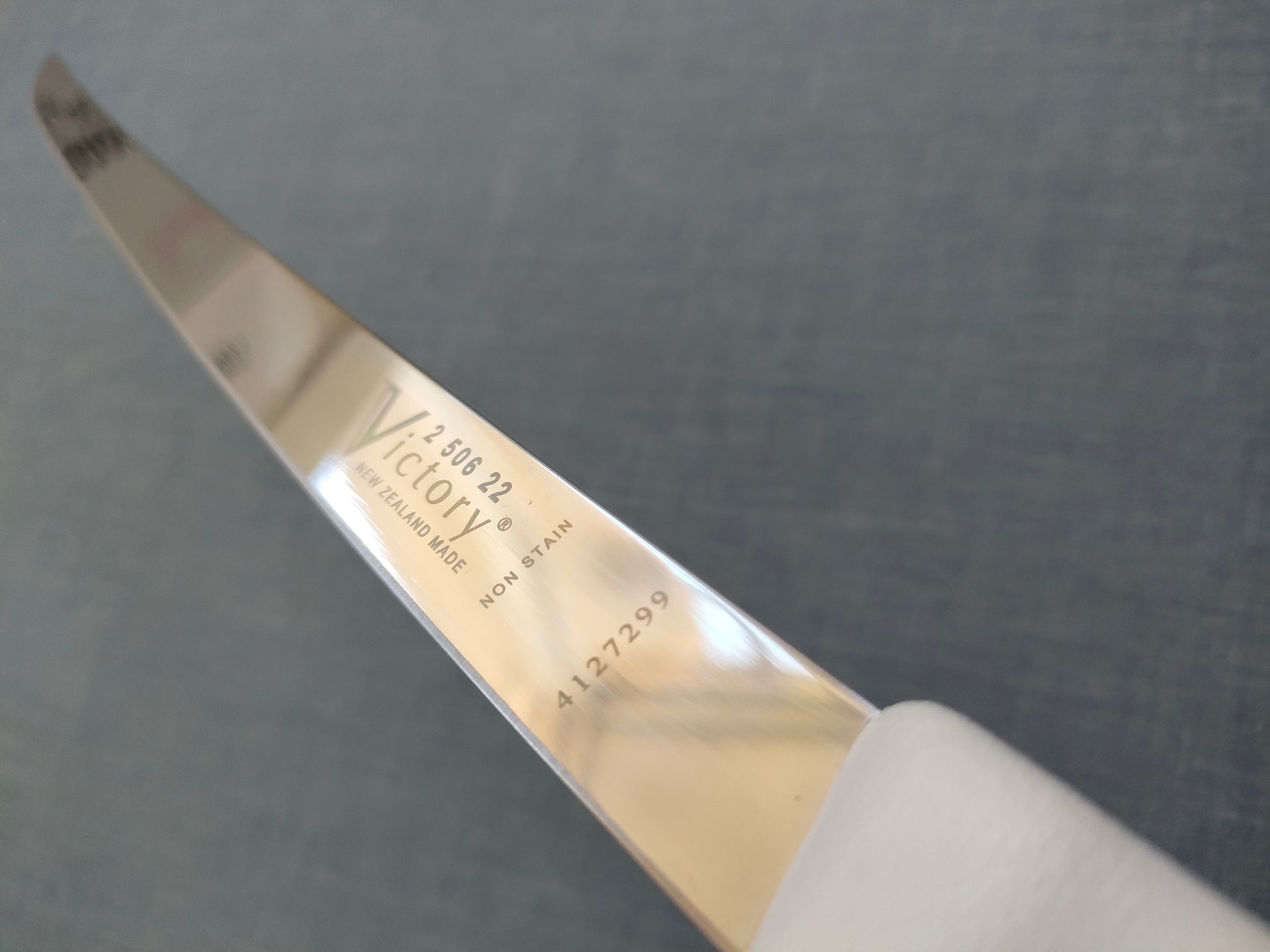 Victory Knives | Narrow Filleting Knife 220mm