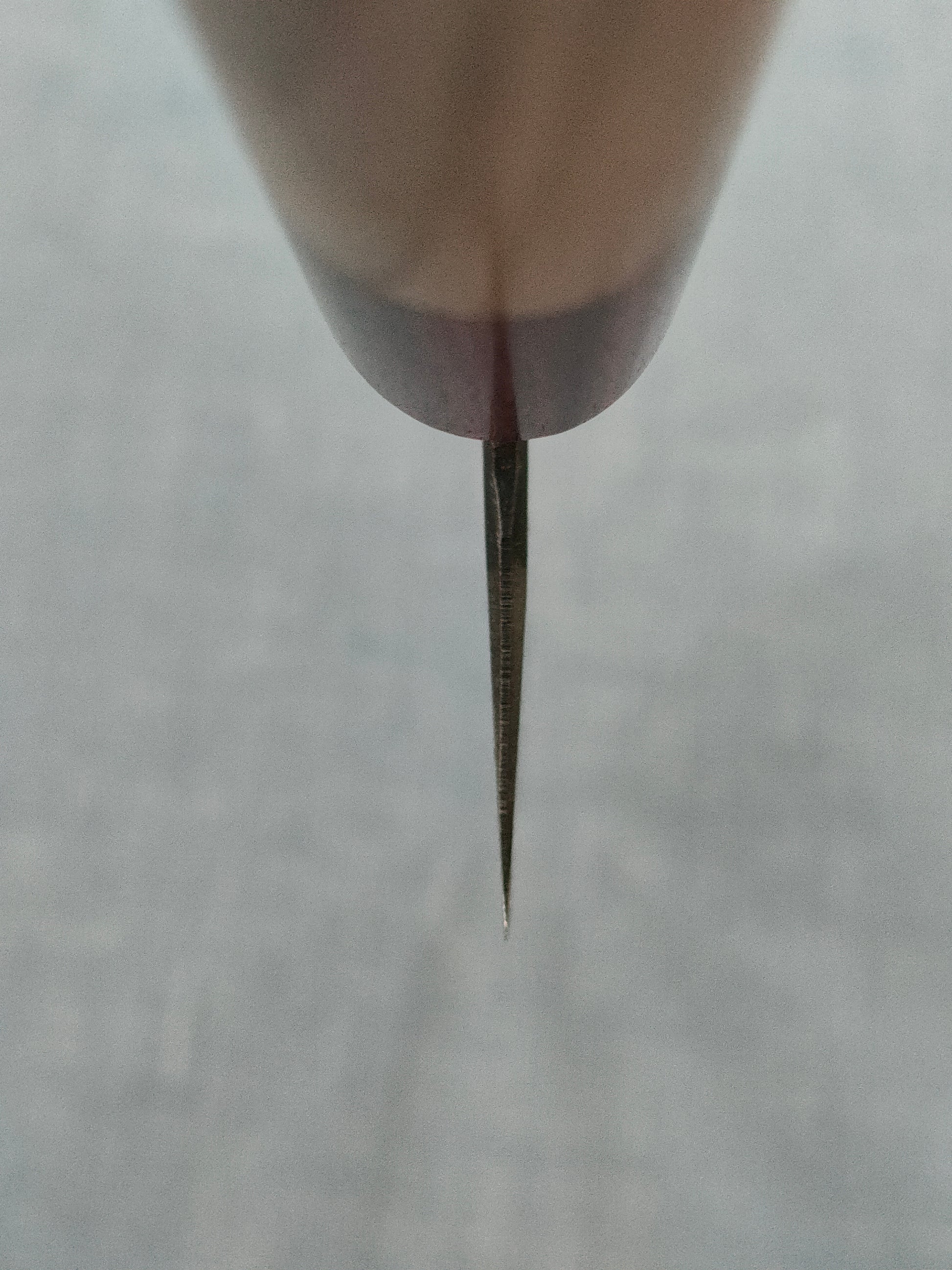 Muneishi | Kurouchi | Bunka 180mm | Aogami 2 | Cherry