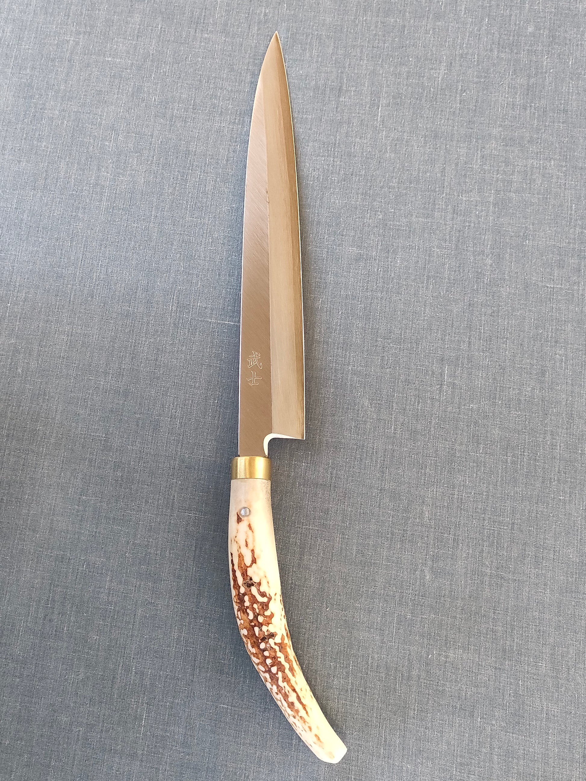 Saji Knives | Yanagiba 240mm | Ginsan 3 | Deer Horn