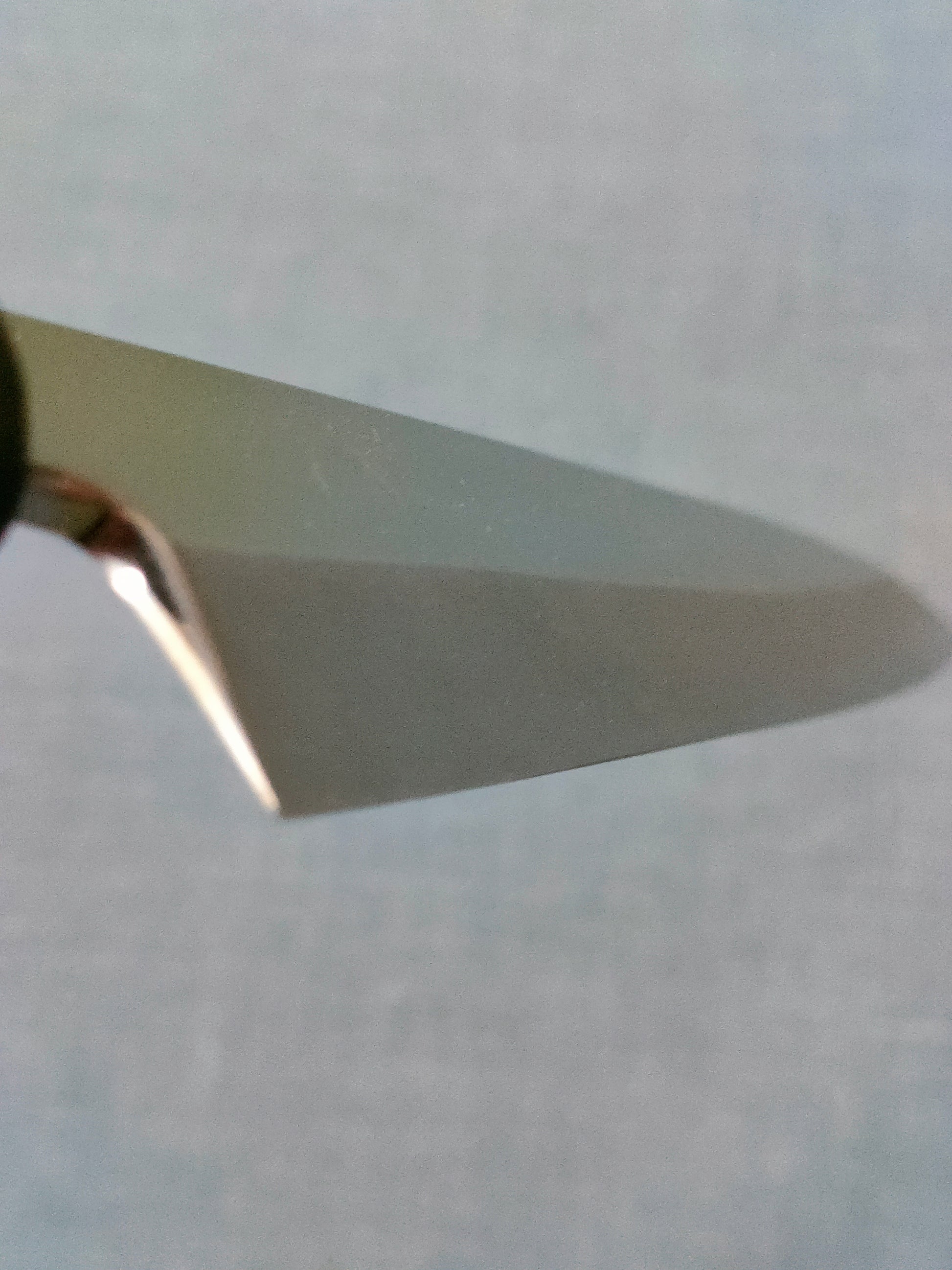 Tsunehisa | AUS8 | Yanagiba 240mm | Rosewood