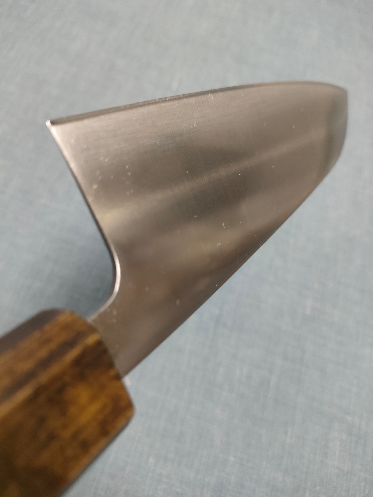 Tsunehisa | Santoku 165mm | AUS8