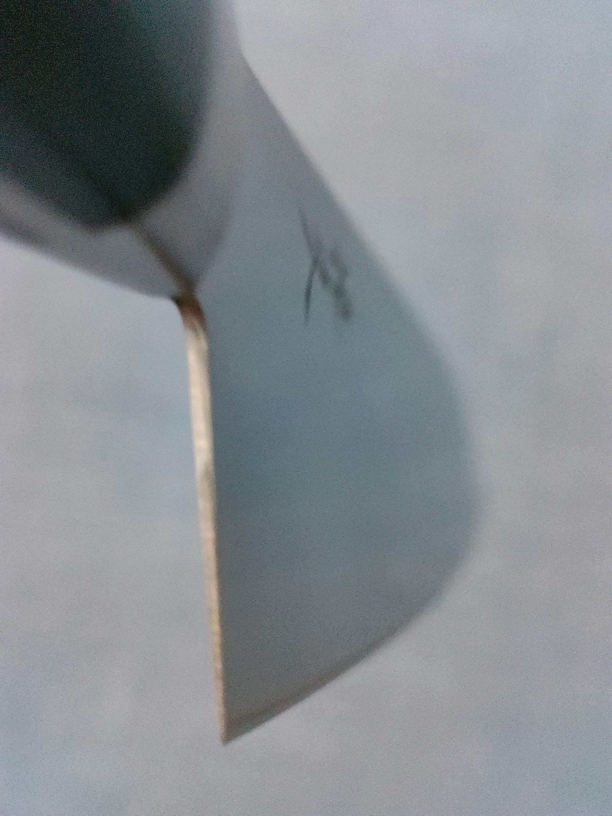 Tsunehisa | AUS8 | Santoku 165mm