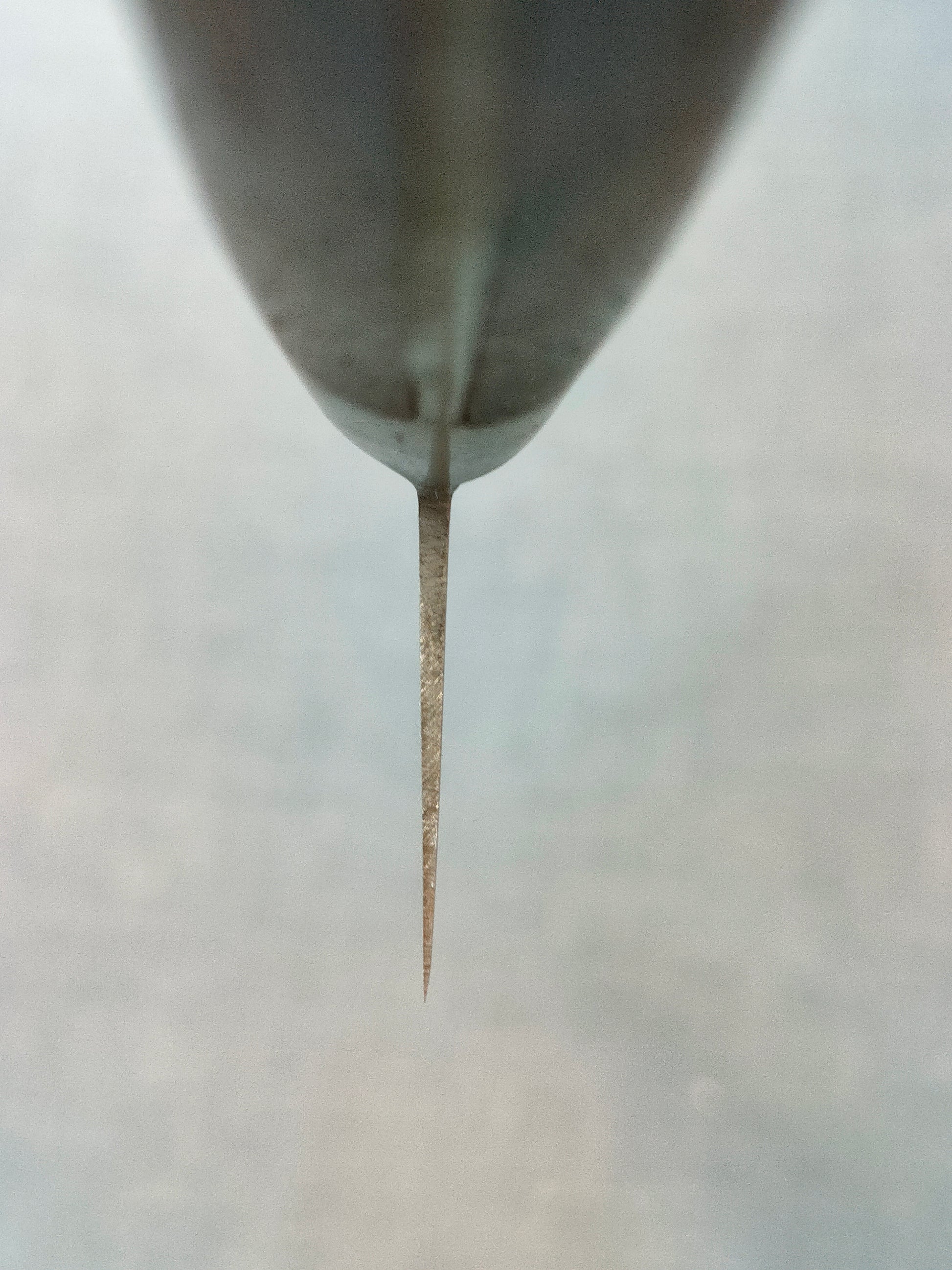 Minamoto no Keitsuki | Gyuto 240mm | SK | Bolster | Rosewood