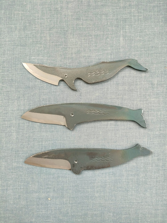 Tosa Kujira | B Minke