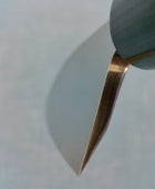 Tsunehisa | AUS8 | Deba 150mm | Rosewood