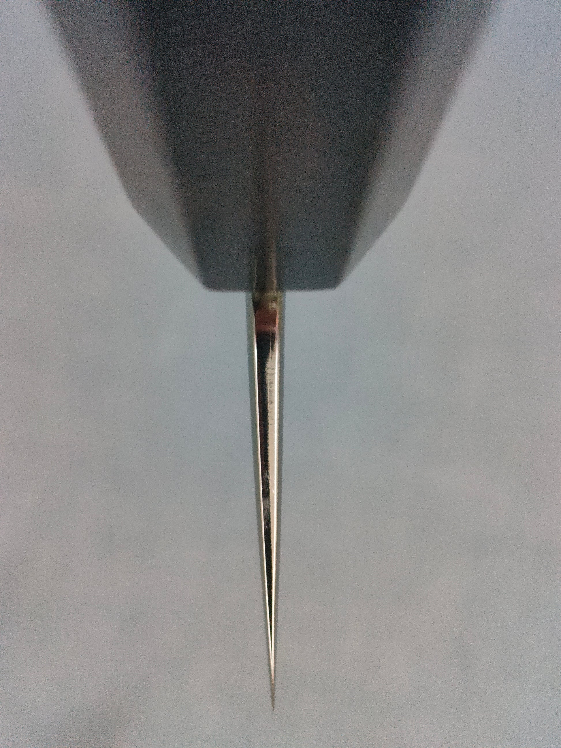 Tsunehisa | Forged VG10 Damascus | Gyuto 210mm | Ebony Horn