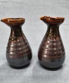 Sake Set