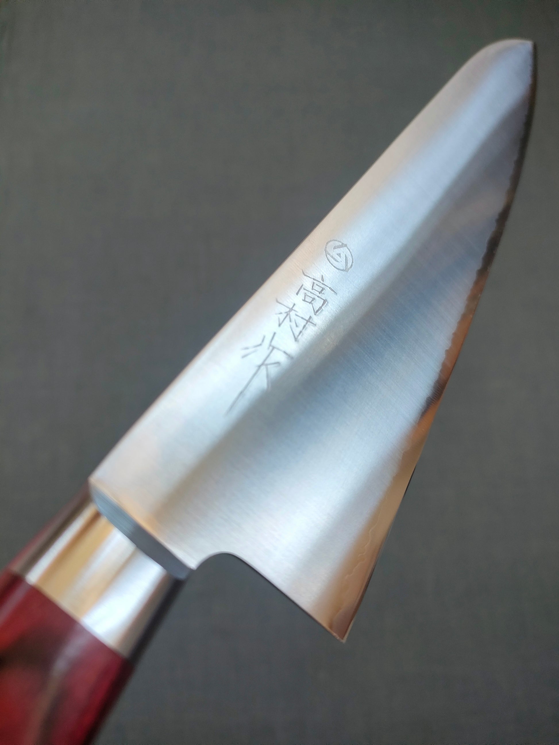 Takamura | Gyuto 210mm | SG2