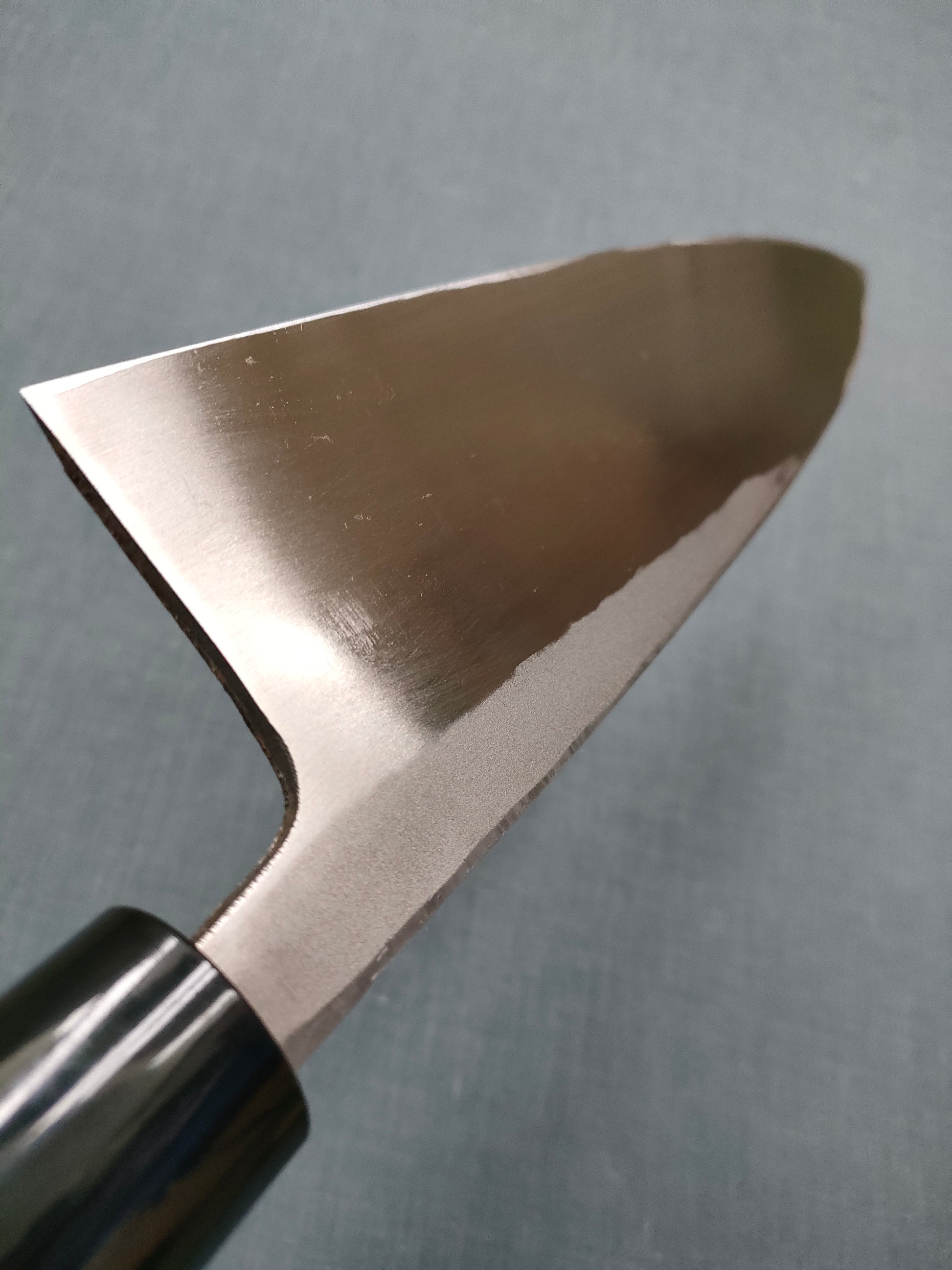 Tojiro | Shirogami | Salmon Deba 270mm