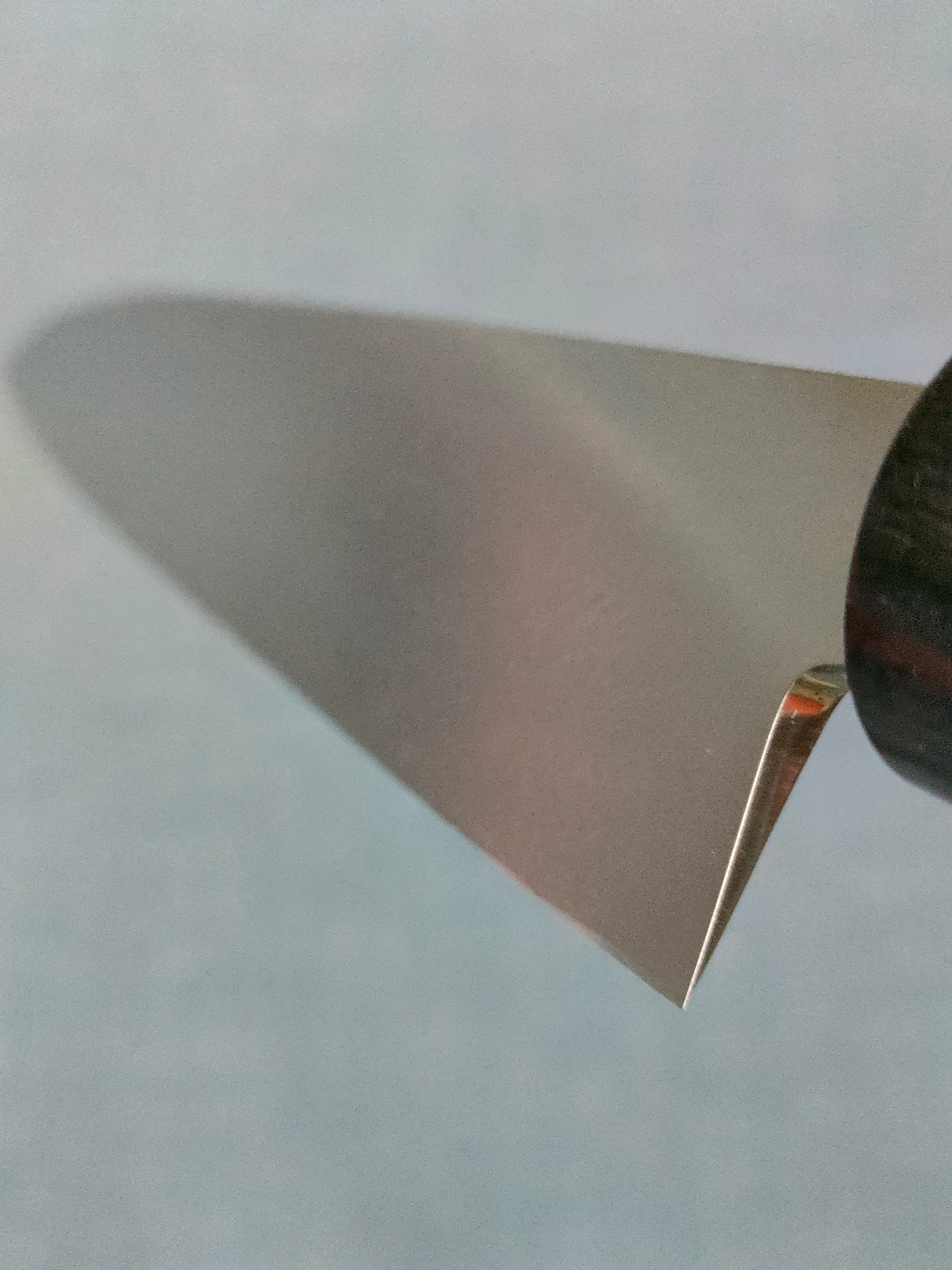 Tsunehisa | AUS8 | Yanagiba 240mm | Rosewood