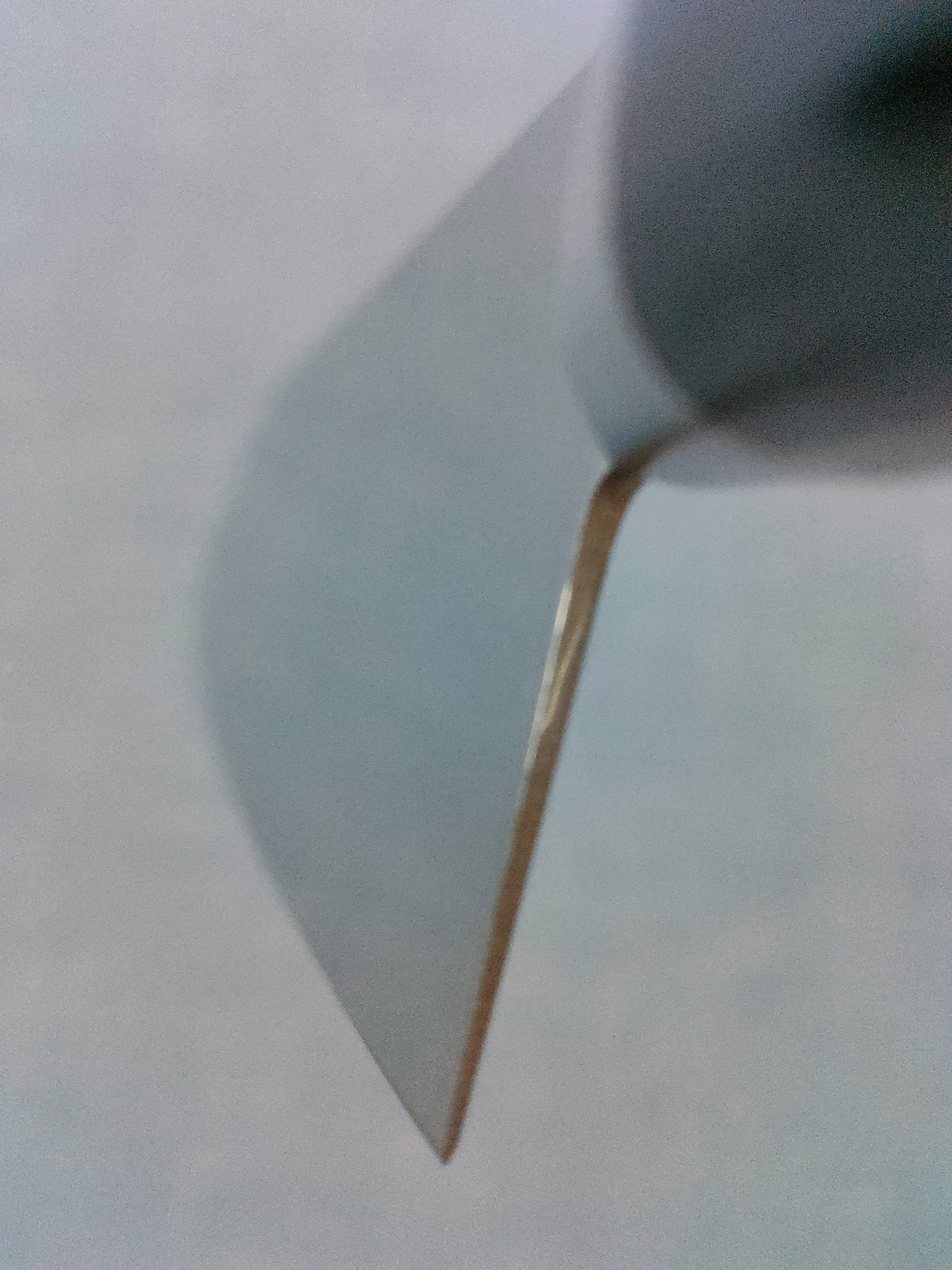 Tsunehisa | AUS8 | Santoku 165mm