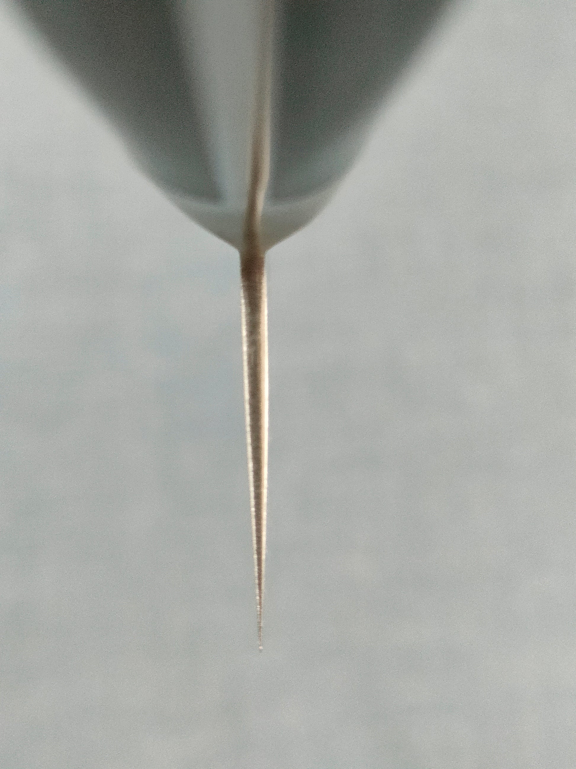 Tsunehisa | VG10 Damascus | Kiritsuke 210mm