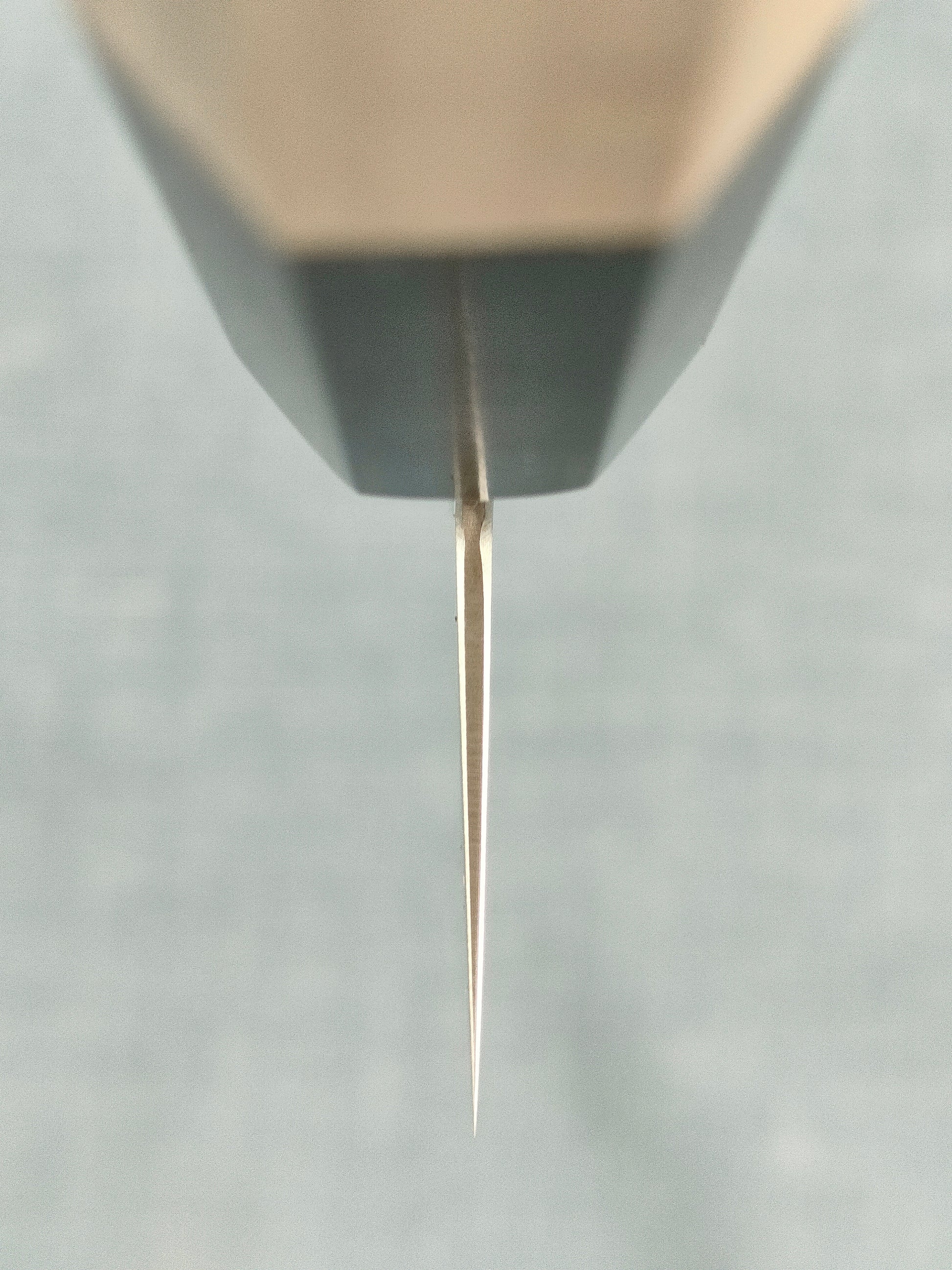 Toshitaka | VG10 Damascus | Kiritsuke 180mm | Magnolia & Horn