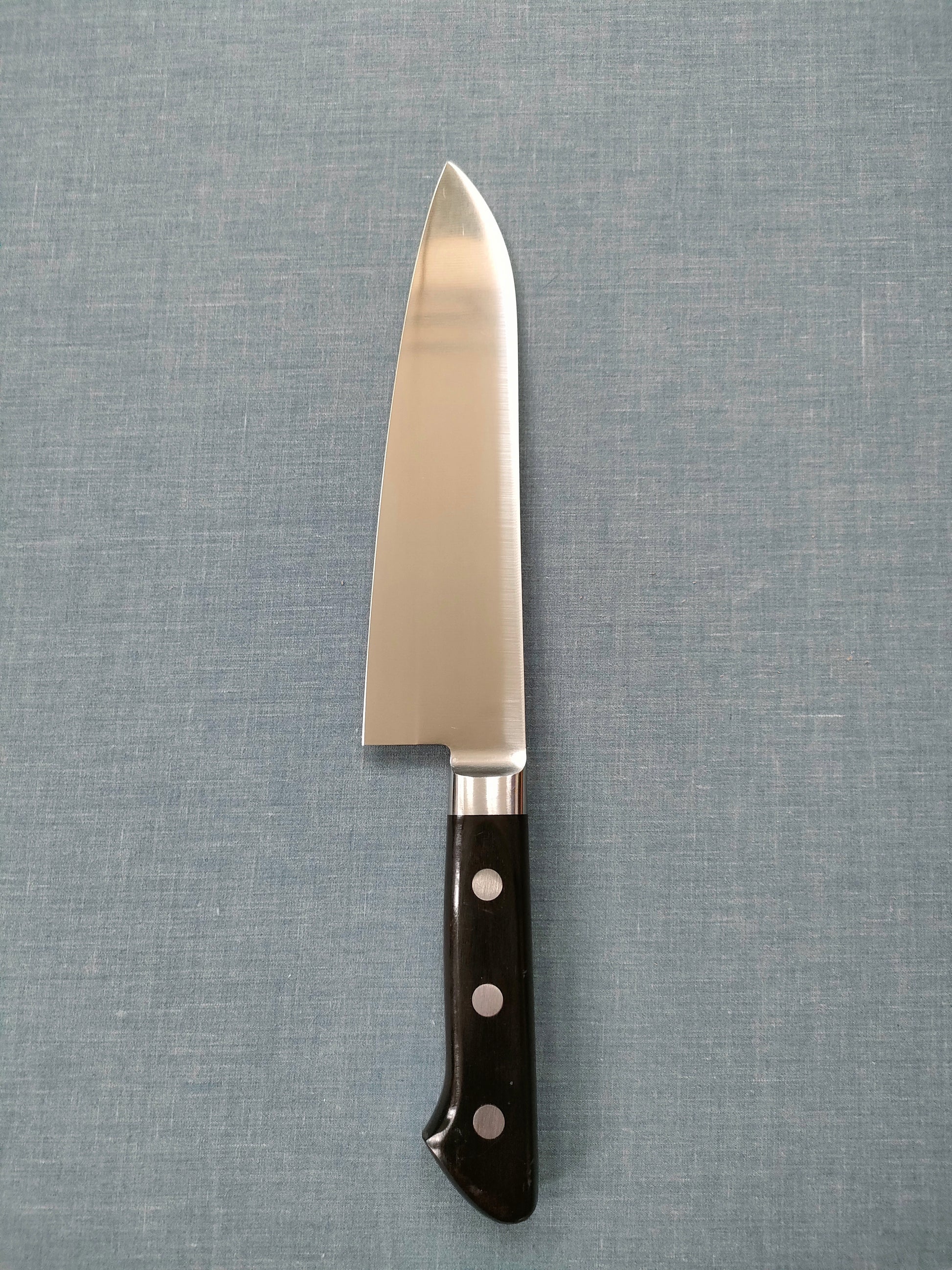 Tsunehisa | AUS8 | Santoku 165mm