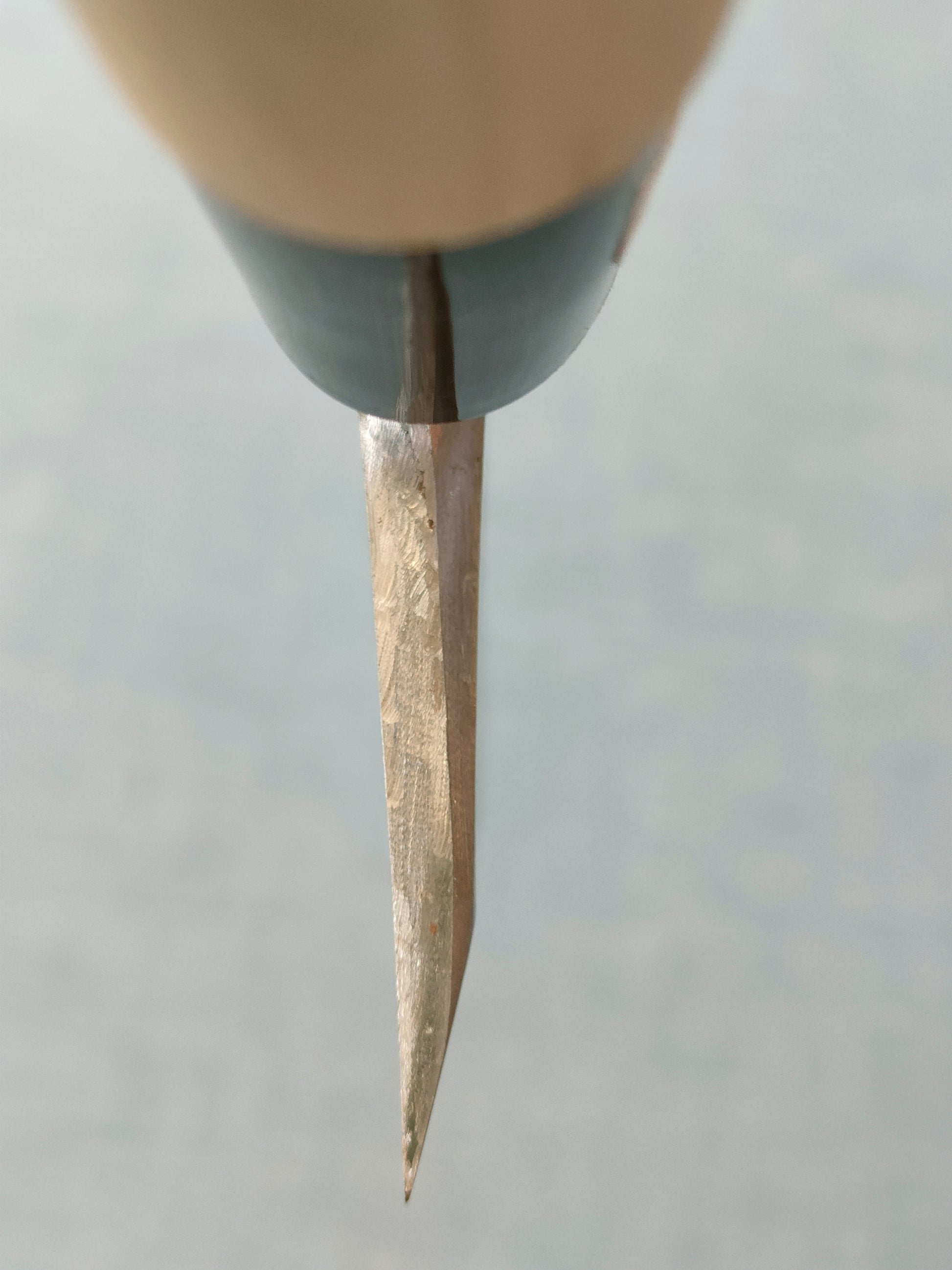 Shin-ou | VG10 | Deba 170mm | Magnolia