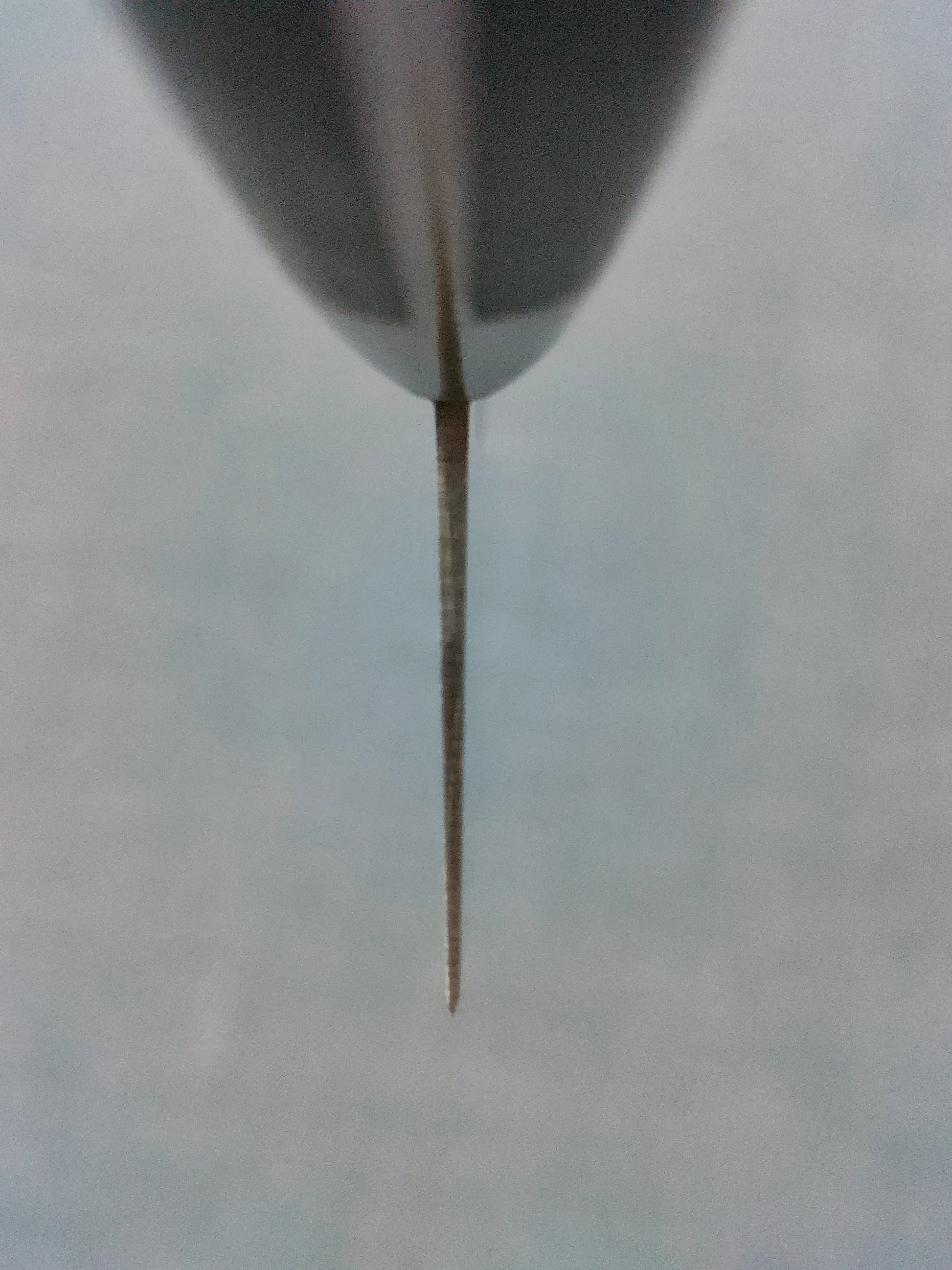 Tsunehisa | AUS8 | Santoku 165mm