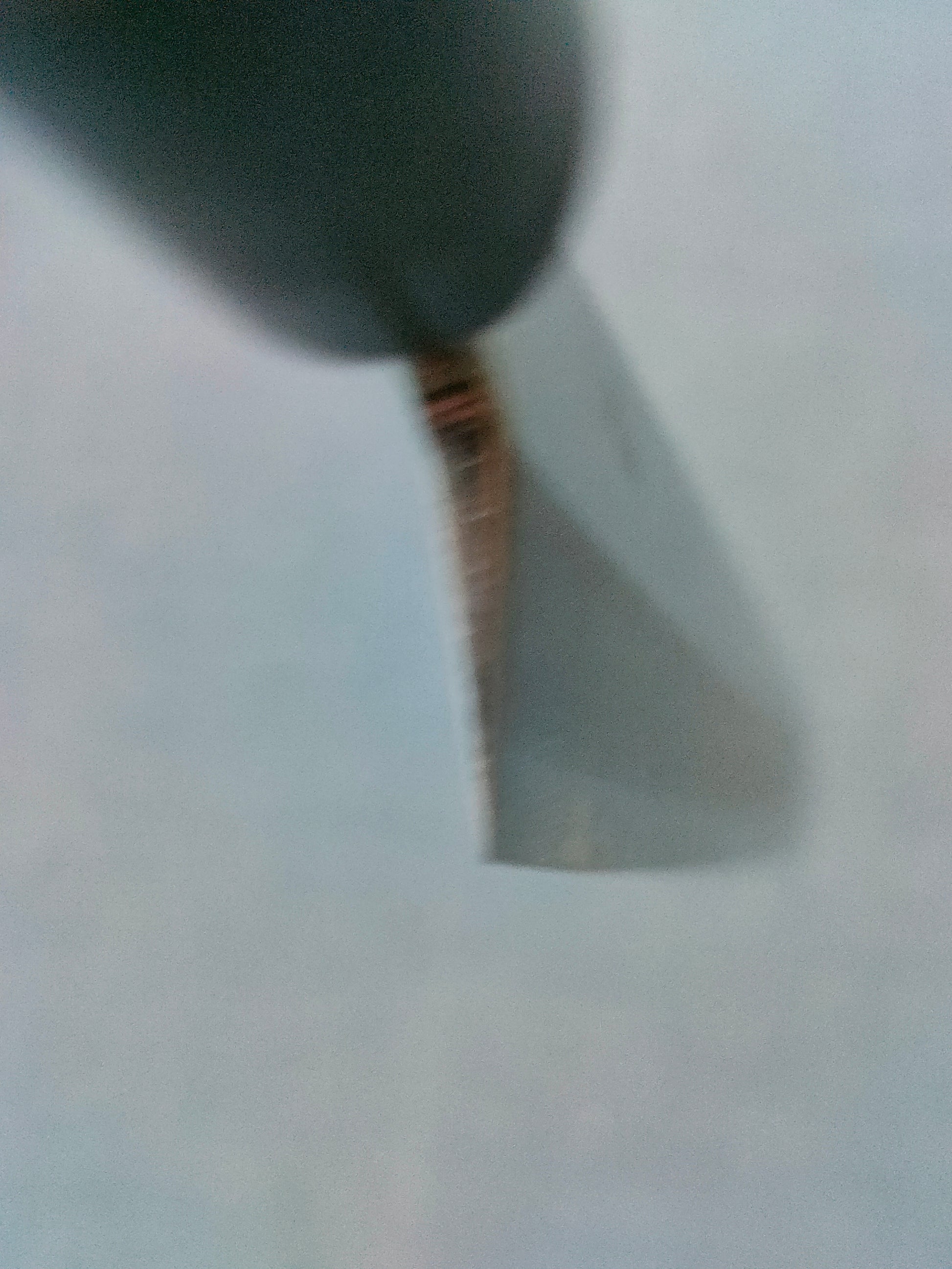 Tsunehisa | AUS8 | Yanagiba 270mm | Rosewood