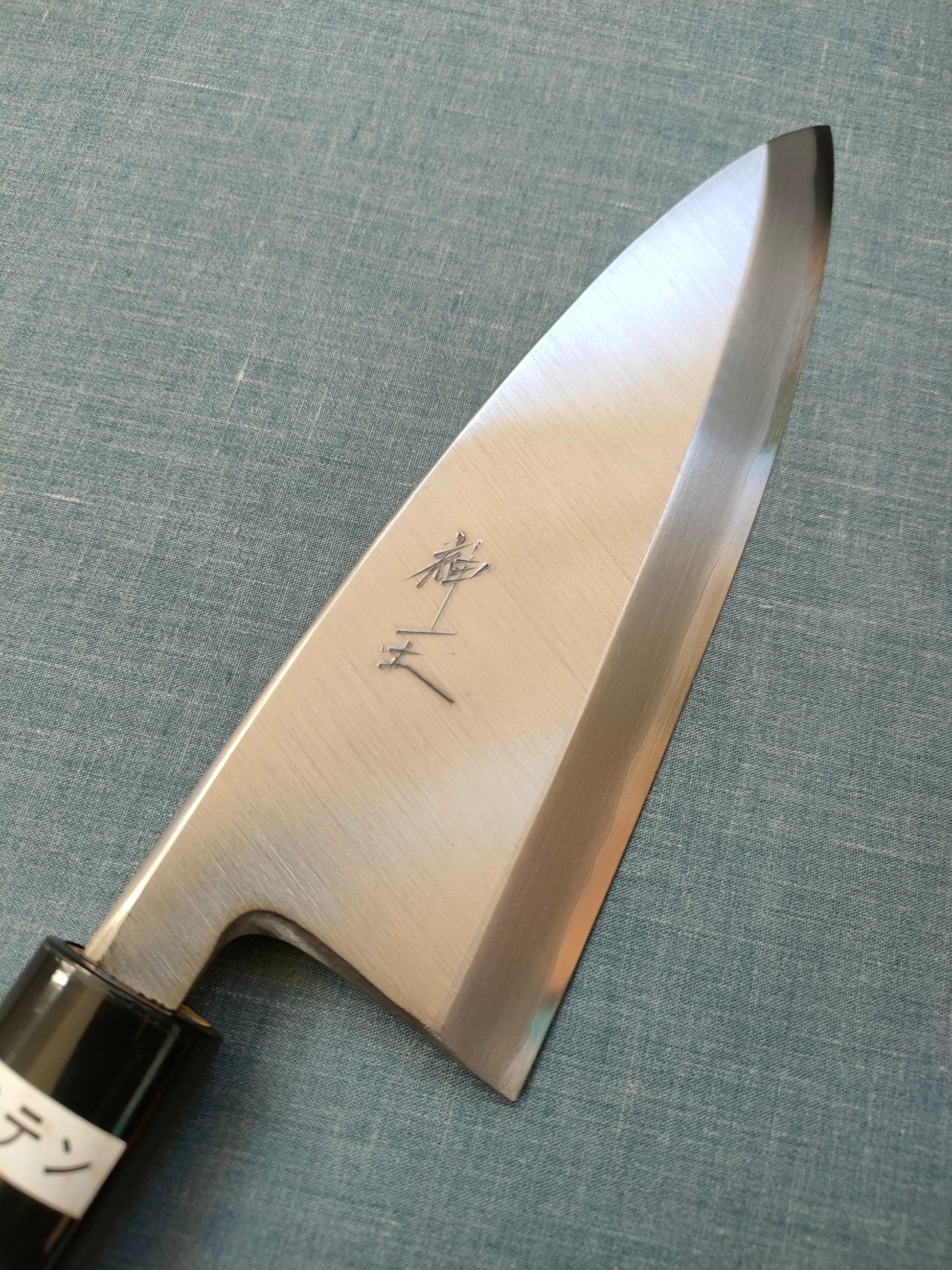 Shin-ou | VG10 | Deba 170mm | Magnolia