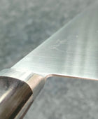 Tsunehisa | AUS8 | Gyuto 210mm