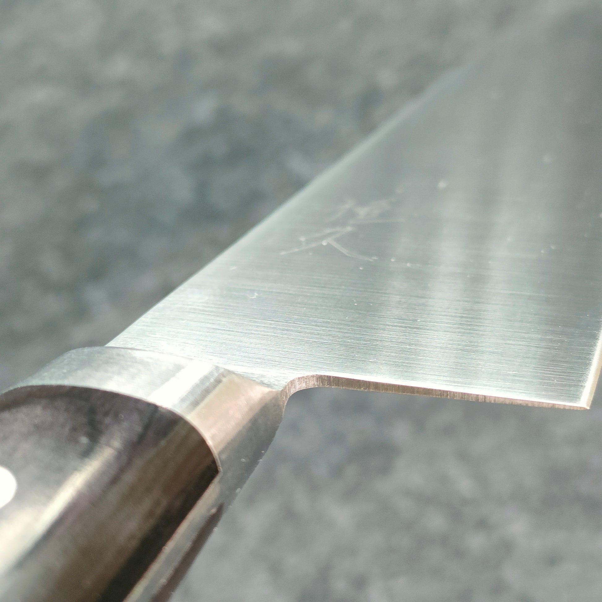 Tsunehisa | AUS8 | Gyuto 210mm