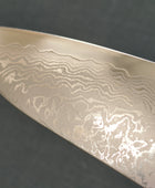 Tsunehisa | Forged VG10 Damascus | Gyuto 210mm | Ebony Horn