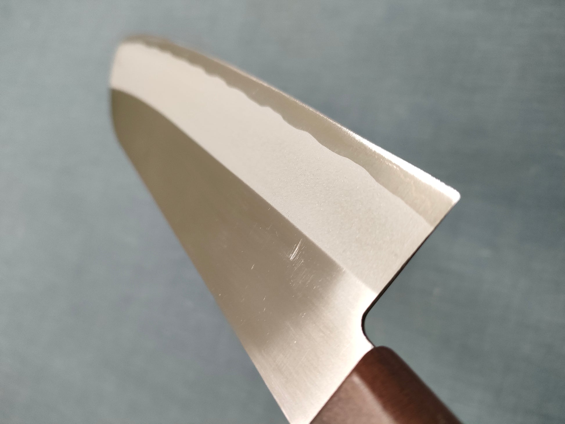Shibamasa | VG5 | Santoku 170mm