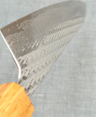 Tsunehisa | AUS10 Nawame Gyuto 210mm | Oak