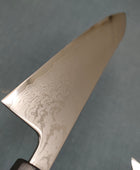 Tsunehisa | Forged VG10 Damascus | Gyuto 210mm | Ebony Horn